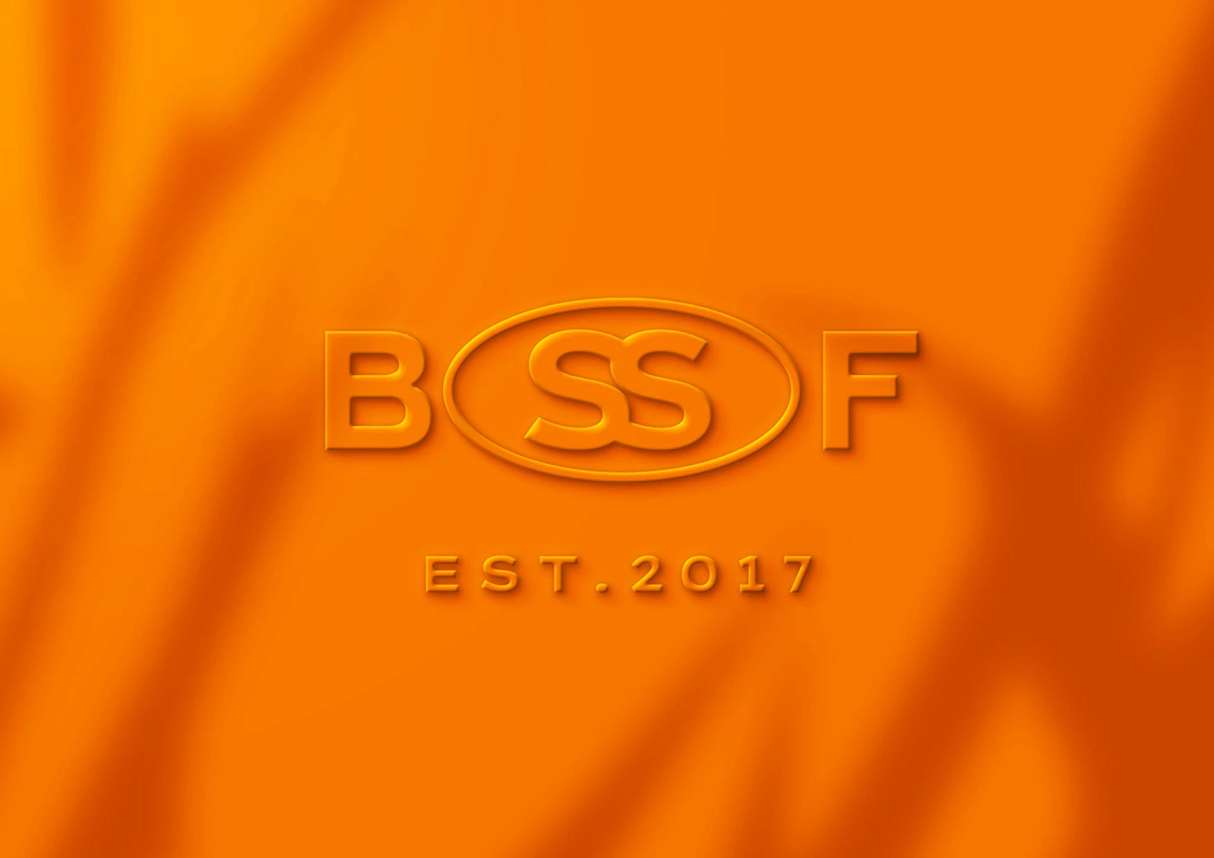 BYSSFIT Clothes Logo & Brand Identity — Изображение №12 — Брендинг на Dprofile