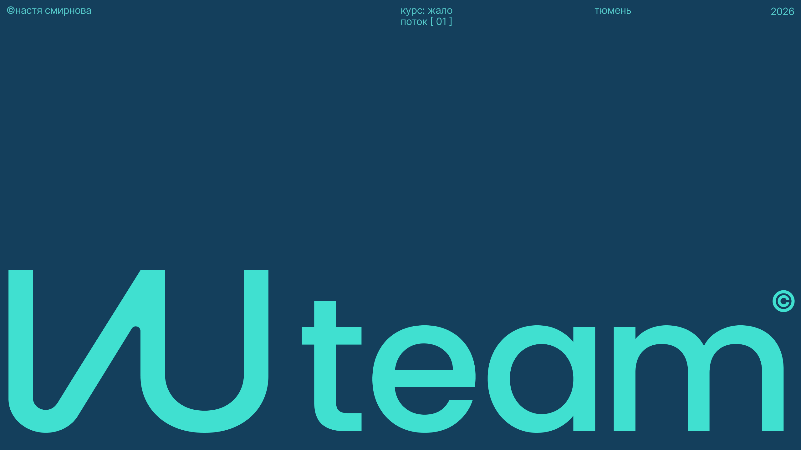 VU team© | Айдентика — Изображение №1 — Брендинг на Dprofile