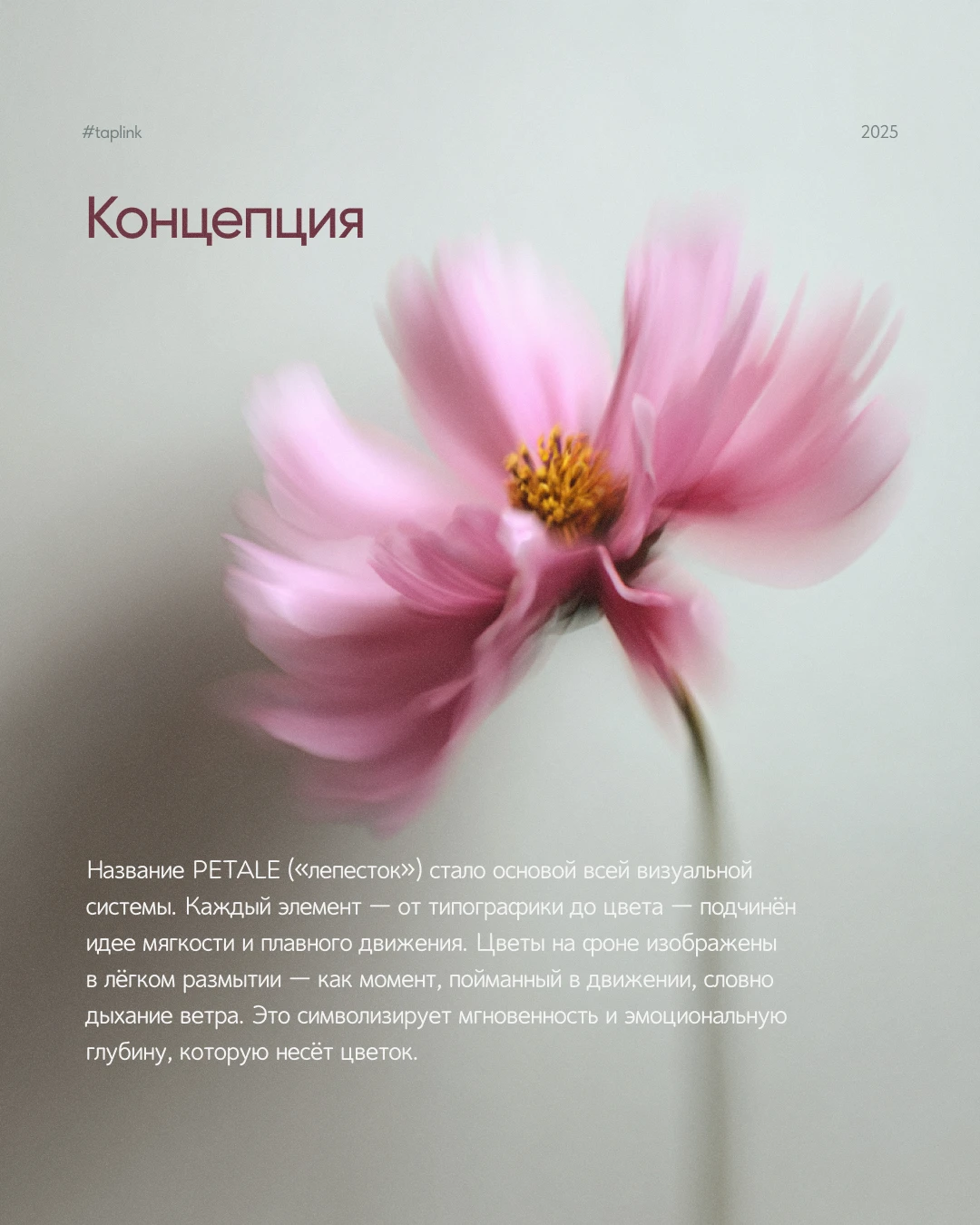 Таплинк для цветочного магазина — Изображение №3 — Интерфейсы на Dprofile