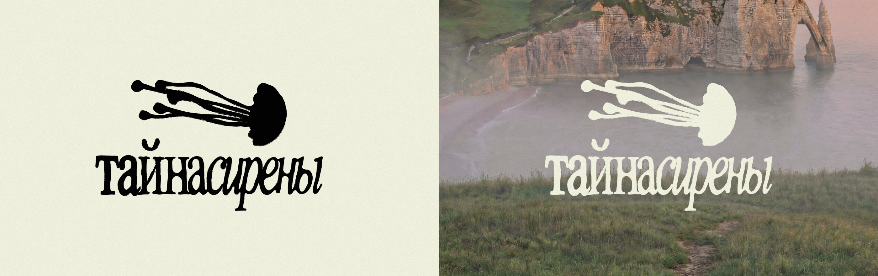 Бренд Украшений «Тайна Сирены» — Изображение №5 — Брендинг, Маркетинг на Dprofile