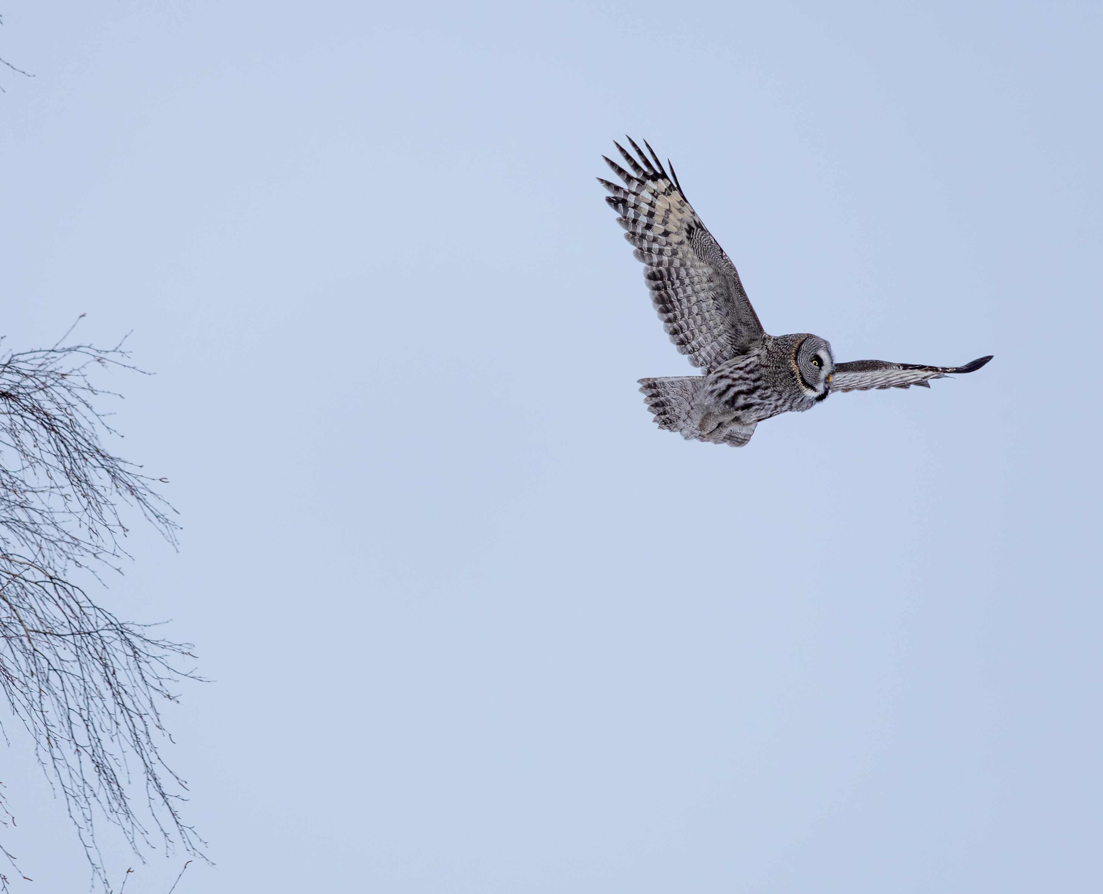 Сибирь — Иллюстрация, Графика на Dprofile