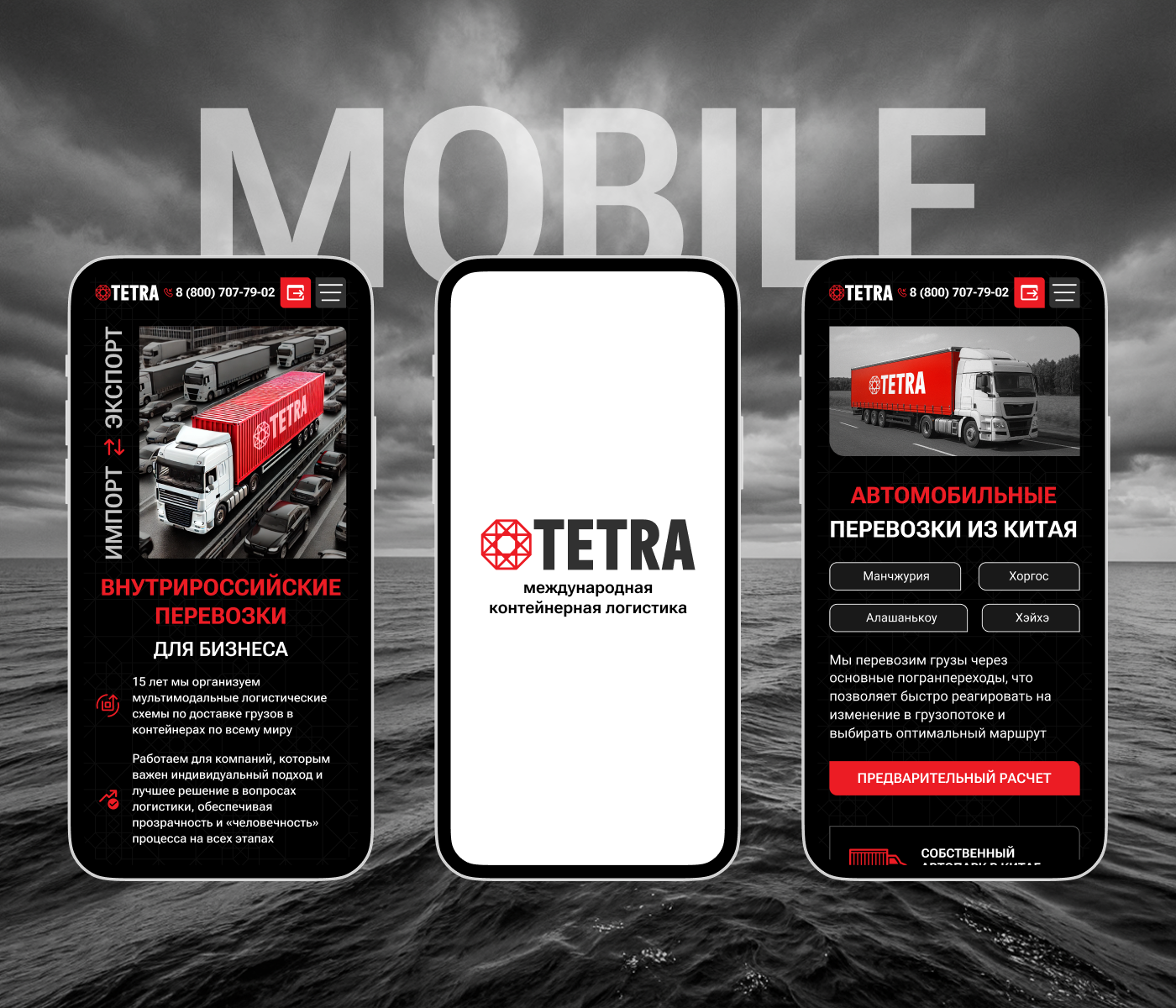 Посадочная страница для рекламы логистической компании — Изображение №4 — Интерфейсы, Маркетинг на Dprofile