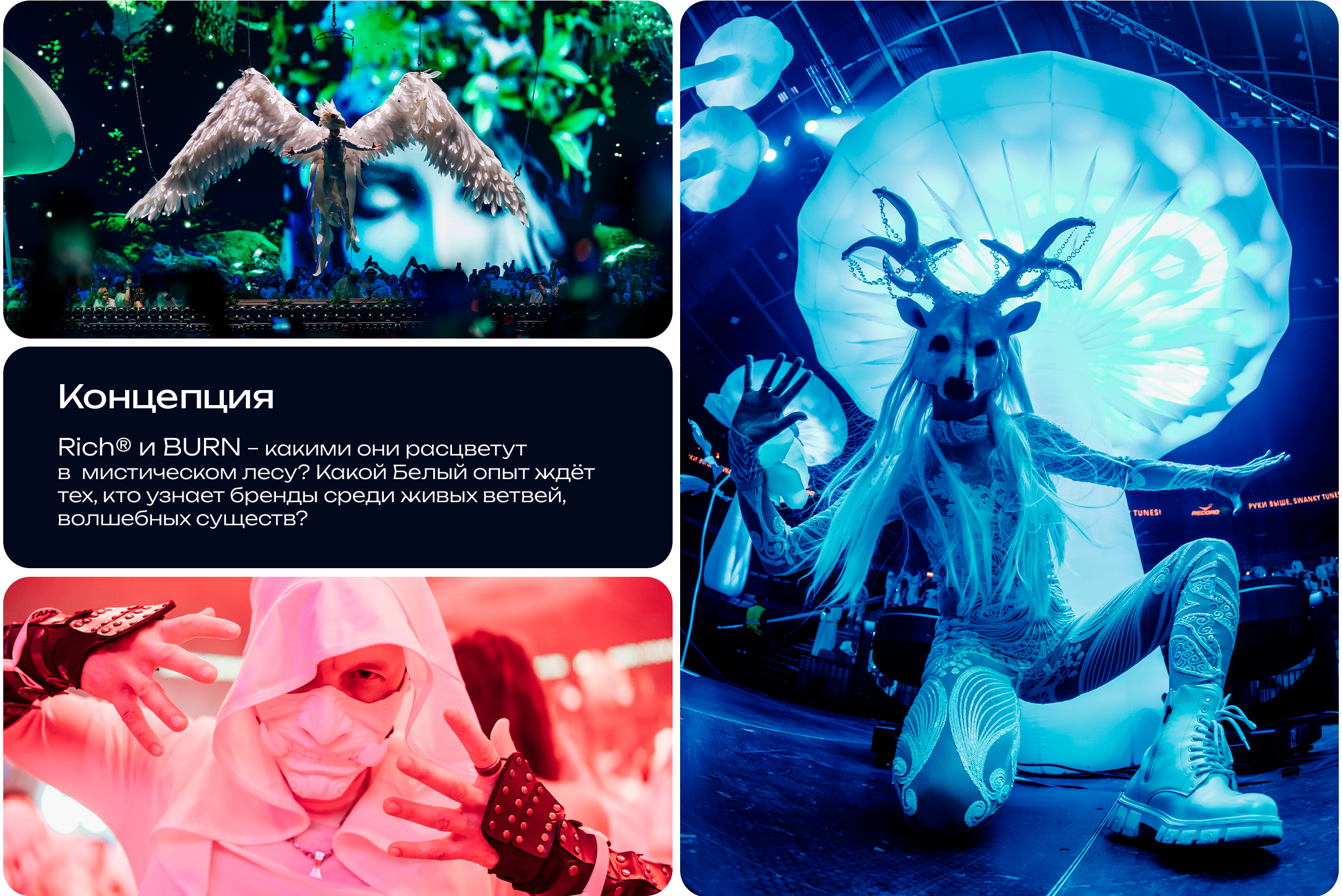 Белая | интеграция Rich® и BURN — Изображение №2 — Брендинг, Маркетинг на Dprofile