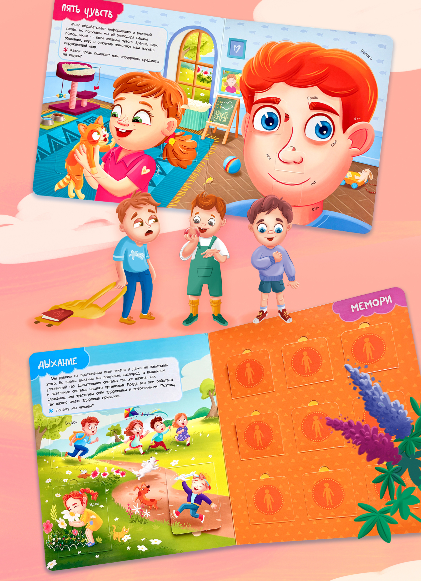 Книга с окошками "Тело человека" — Изображение №15 — Иллюстрация на Dprofile