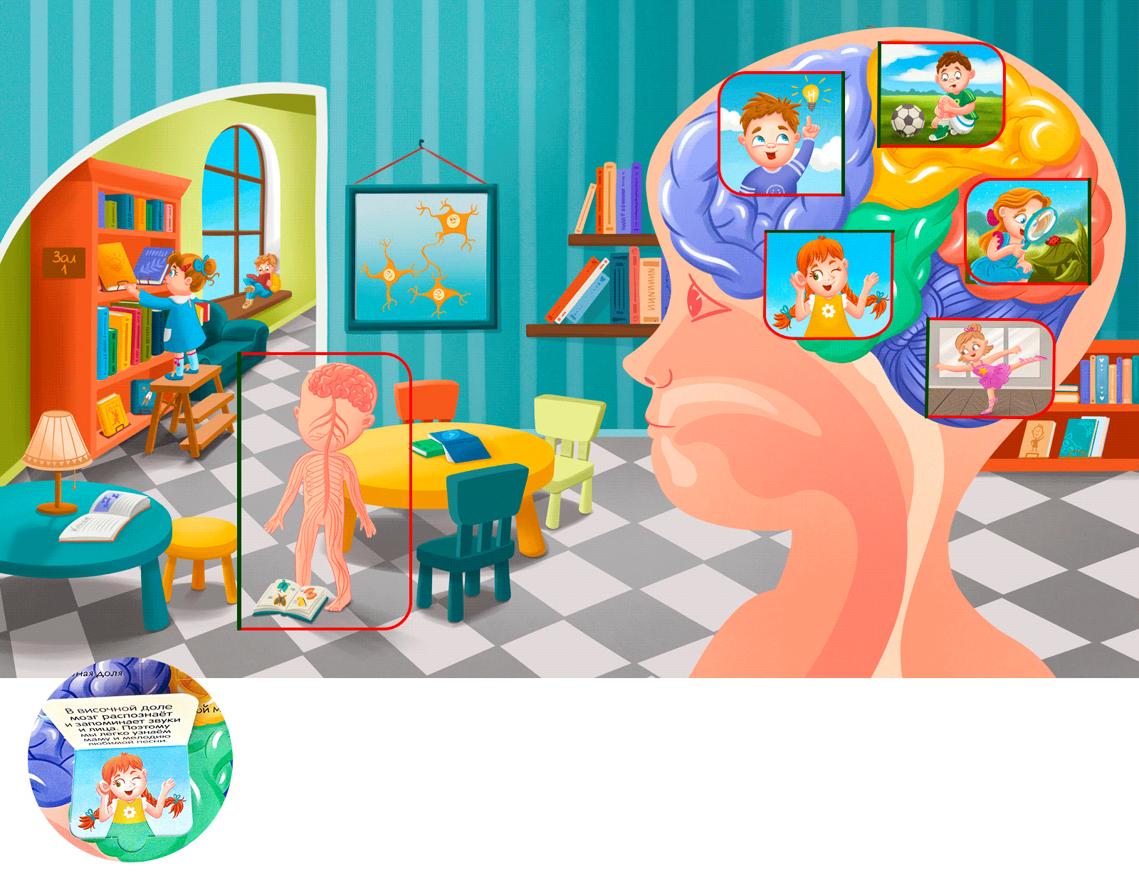 Книга с окошками "Тело человека" — Изображение №10 — Иллюстрация на Dprofile