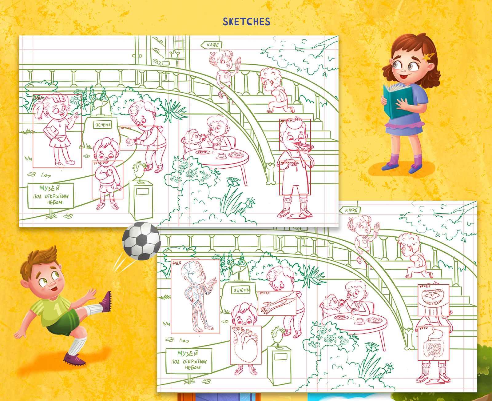 Книга с окошками "Тело человека" — Изображение №6 — Иллюстрация на Dprofile