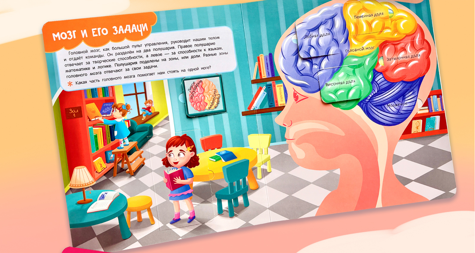 Книга с окошками "Тело человека" — Изображение №14 — Иллюстрация на Dprofile