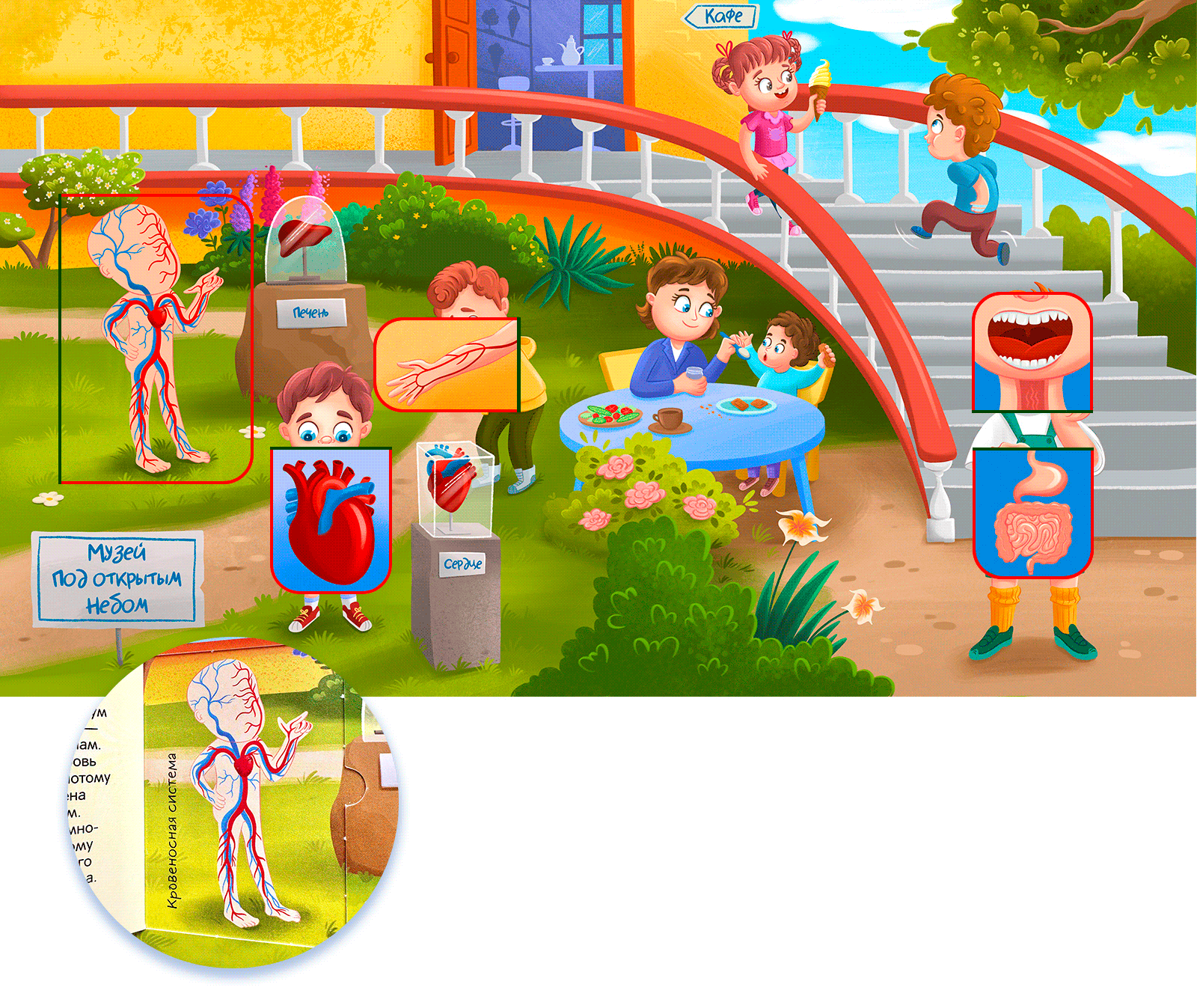 Книга с окошками "Тело человека" — Изображение №7 — Иллюстрация на Dprofile