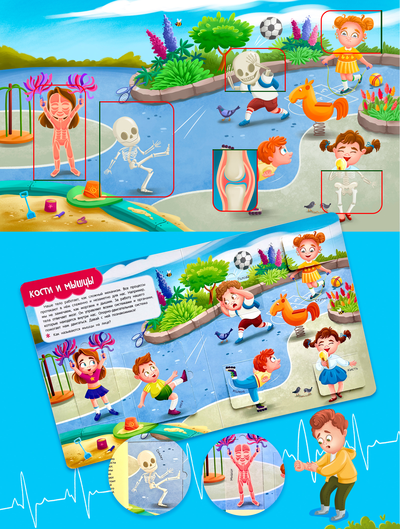 Книга с окошками "Тело человека" — Изображение №4 — Иллюстрация на Dprofile
