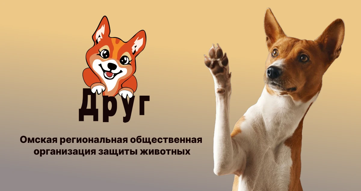 Друг — Изображение №1 — Брендинг на Dprofile