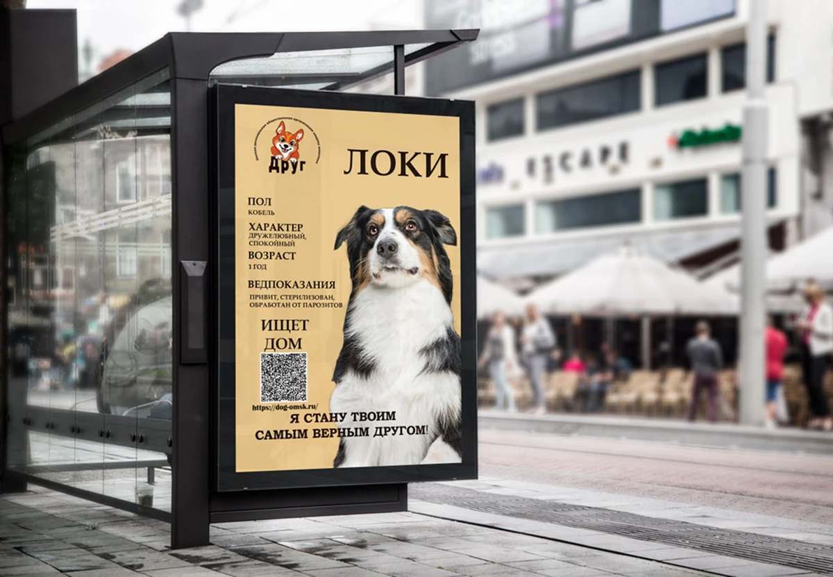 Друг — Изображение №3 — Брендинг на Dprofile