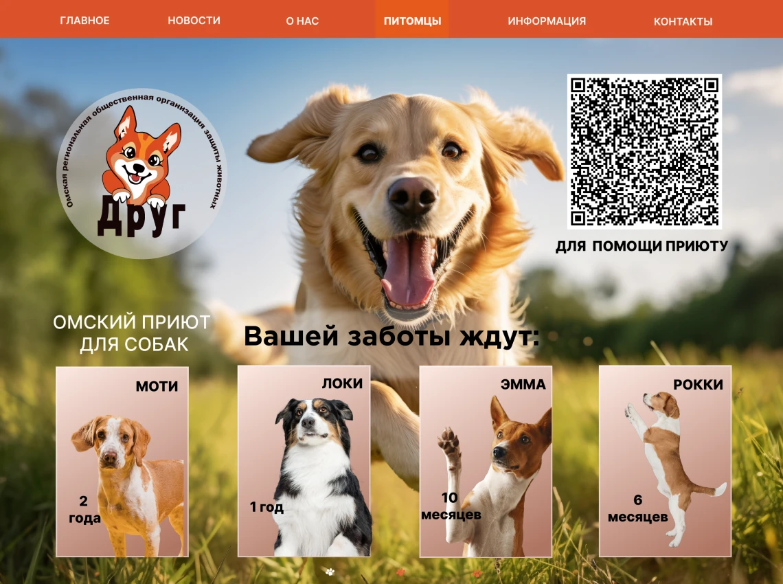 Друг — Изображение №4 — Брендинг на Dprofile