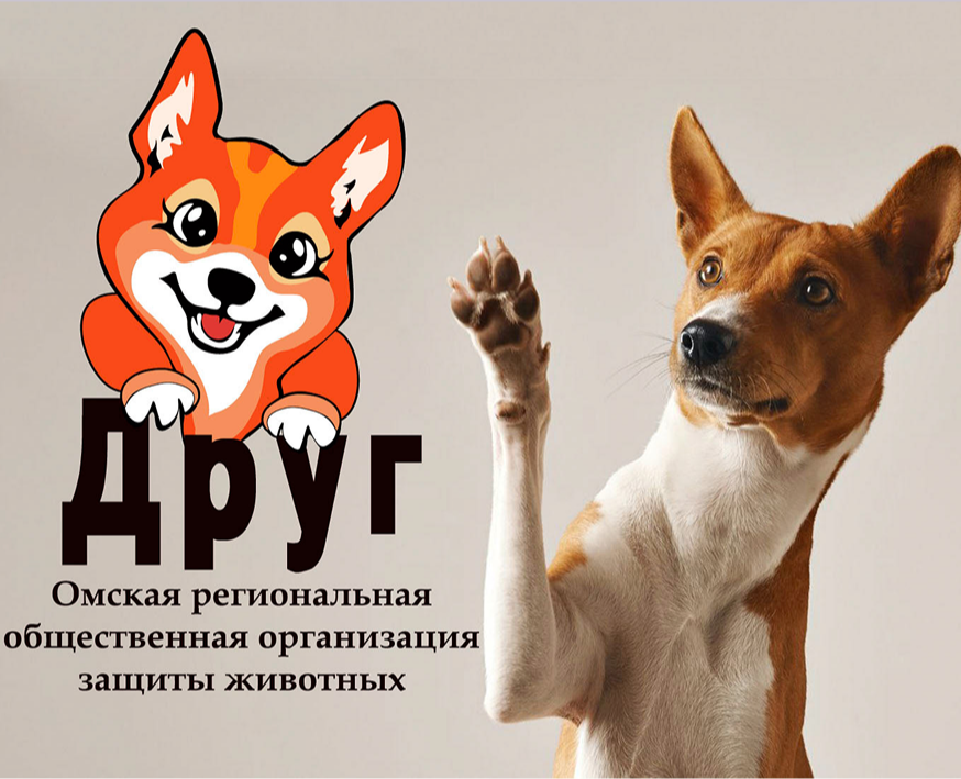 Друг — Брендинг на Dprofile