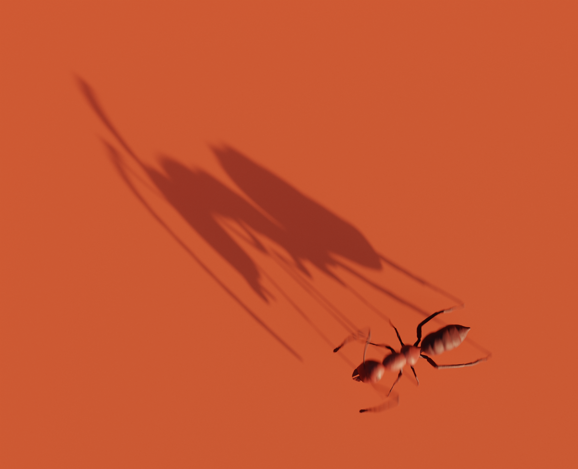 Тихий расцвет — Иллюстрация, Графика на Dprofile