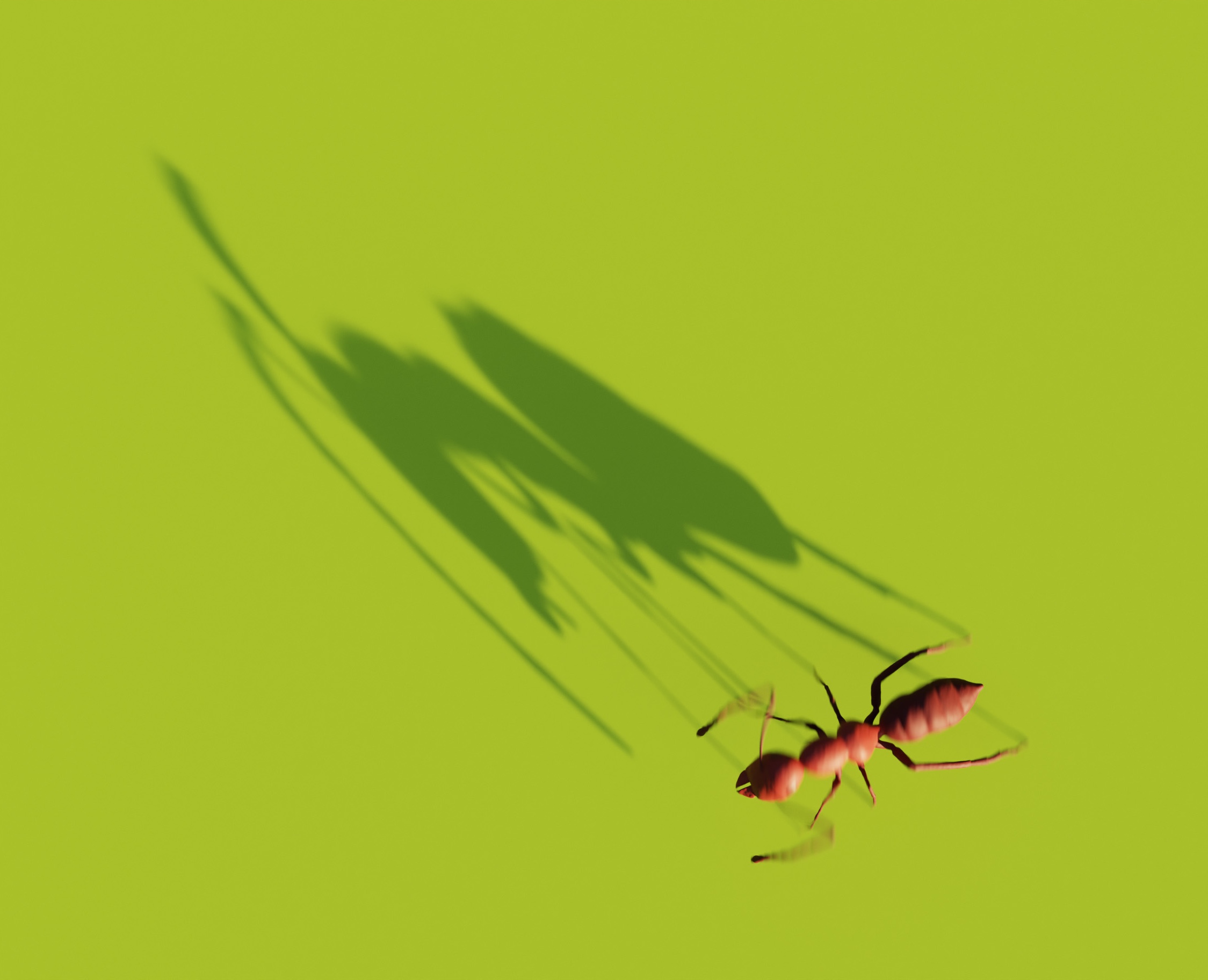 Тихий расцвет — Иллюстрация, Графика на Dprofile