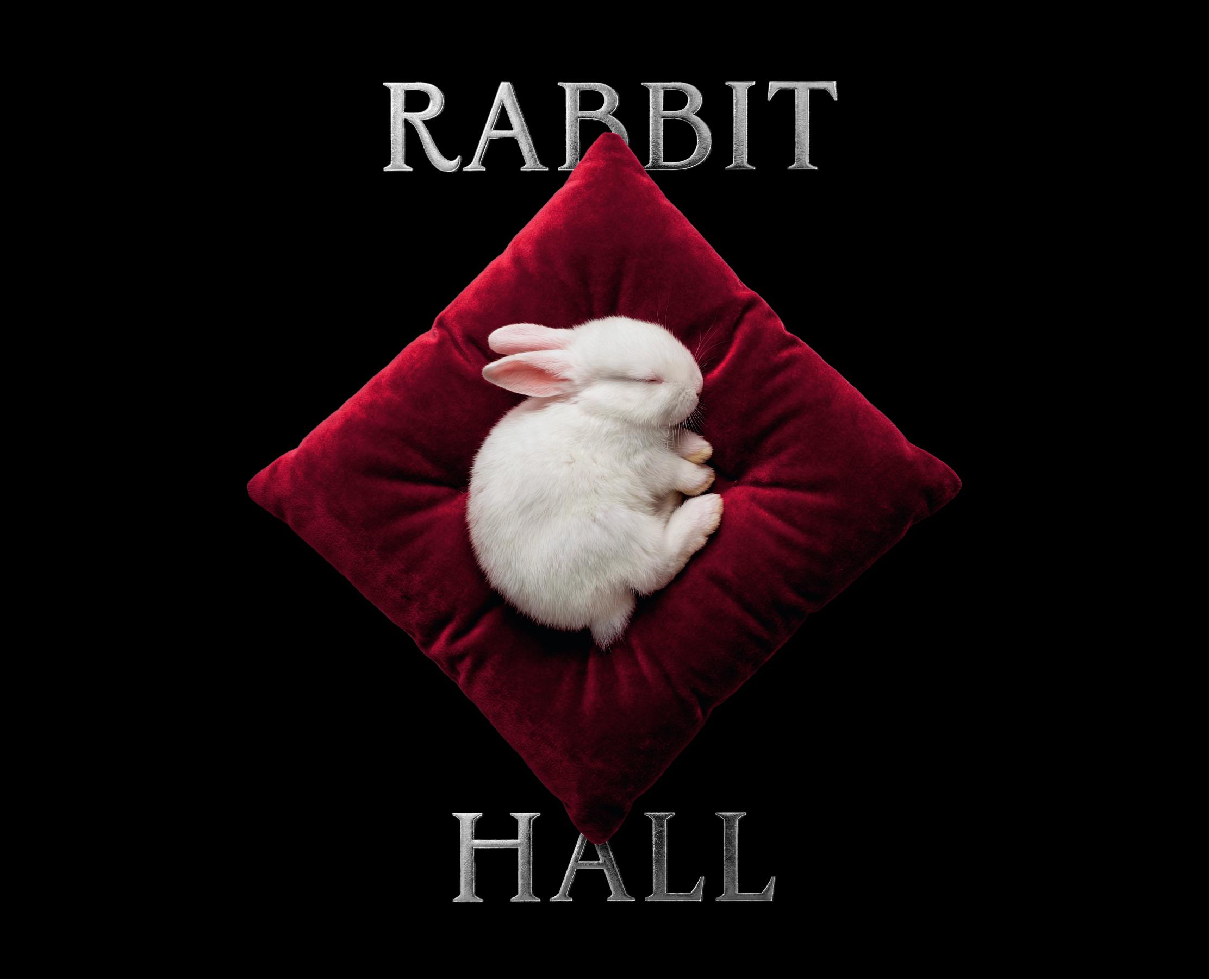 RABBT HALL l Визуальная айдентика отеля — Брендинг на Dprofile