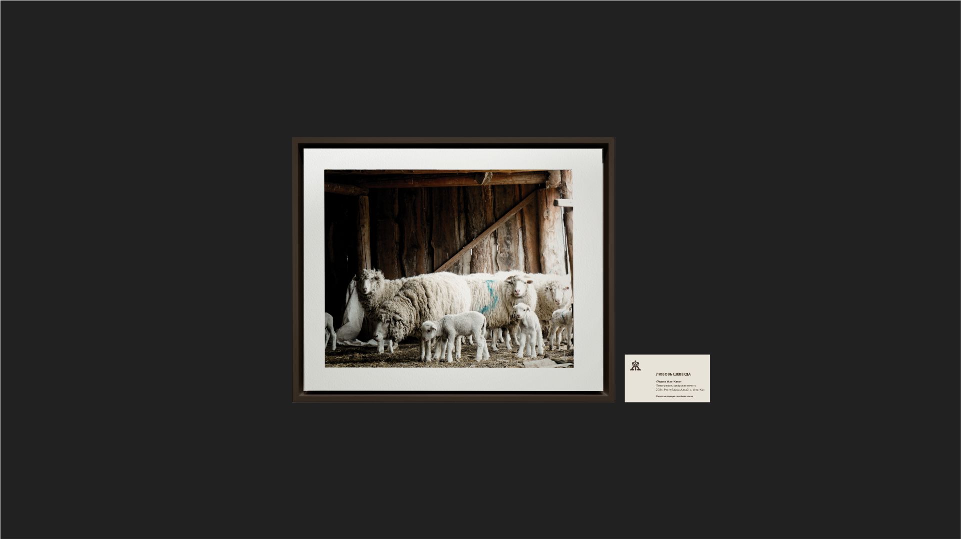 Семейный отель Айылчы Тура — Изображение №8 — Брендинг на Dprofile