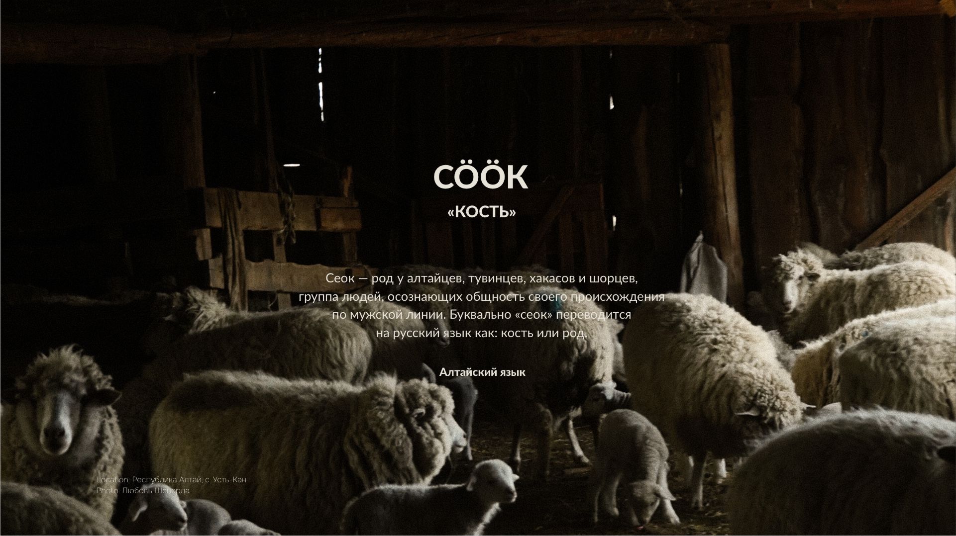 Семейный отель Айылчы Тура — Изображение №6 — Брендинг на Dprofile