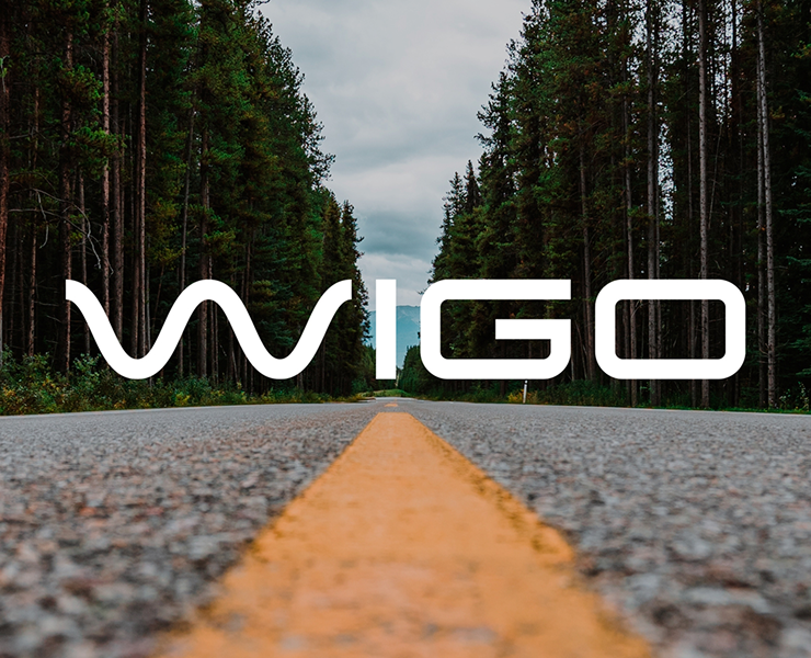 WIGO — Брендинг и веб-дизайн лизинговой компании — Интерфейсы, Брендинг на Dprofile