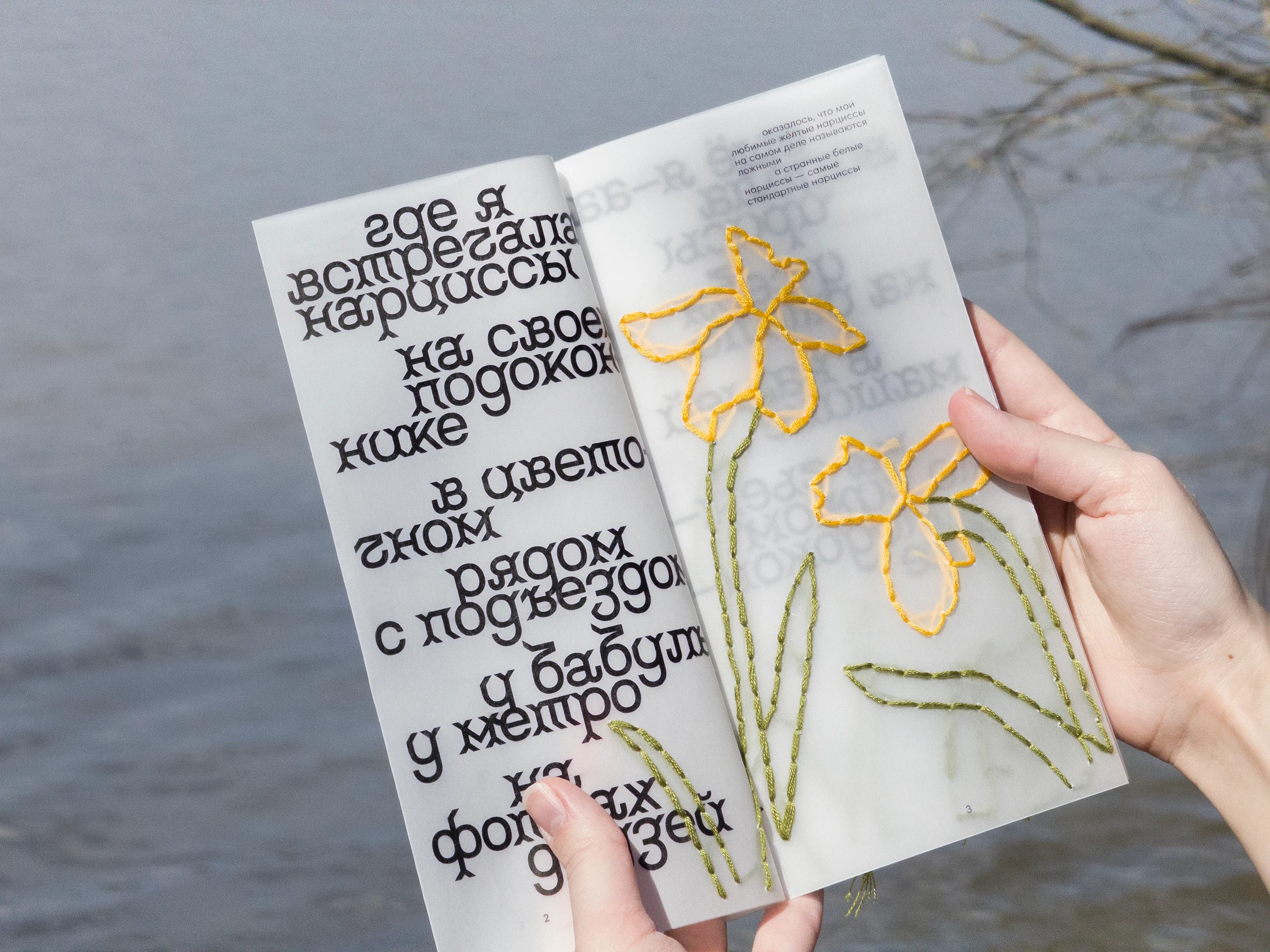зин о цветах — Изображение №7 — Графика на Dprofile