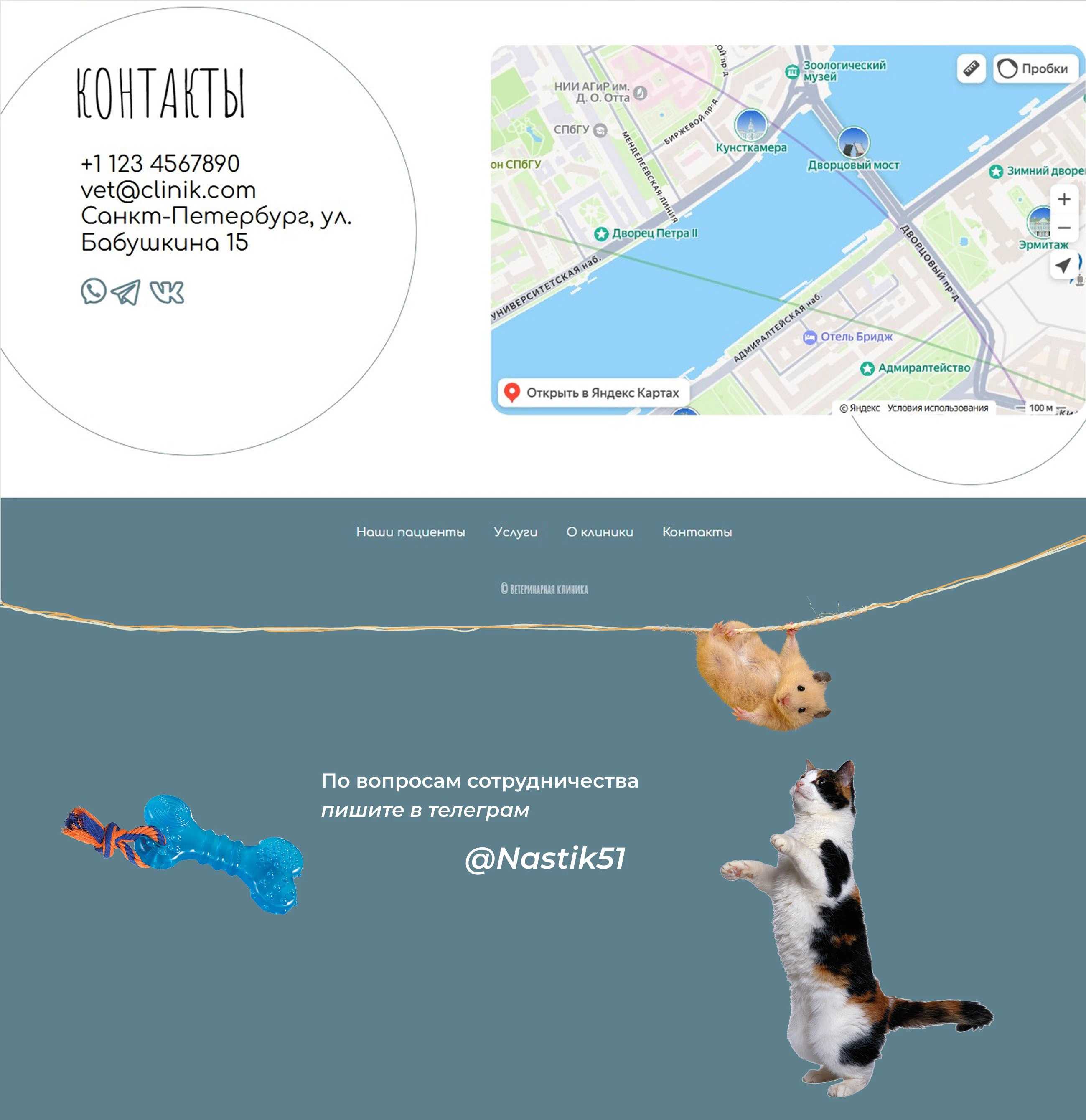 Сайт ветеринарной клиники — Изображение №2 — Интерфейсы на Dprofile
