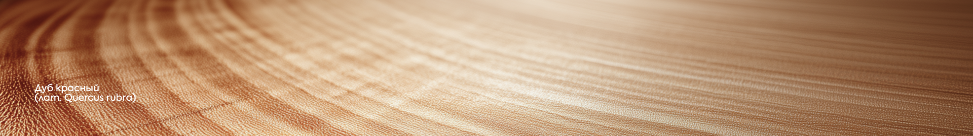 САНТА+ Логотип и фирменный стиль столярной мастерской. — Изображение №6 — Брендинг на Dprofile