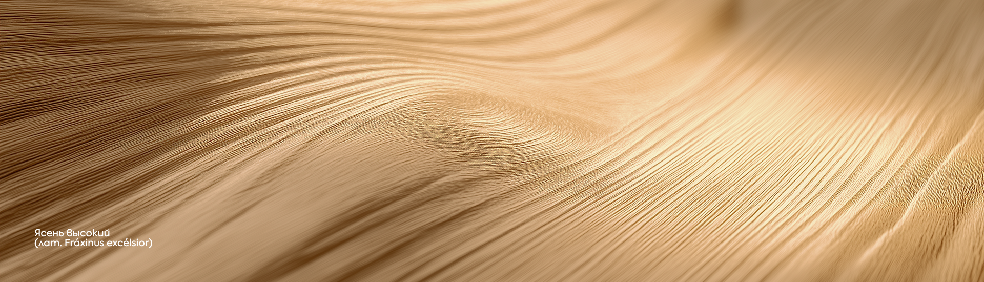 САНТА+ Логотип и фирменный стиль столярной мастерской. — Изображение №12 — Брендинг на Dprofile