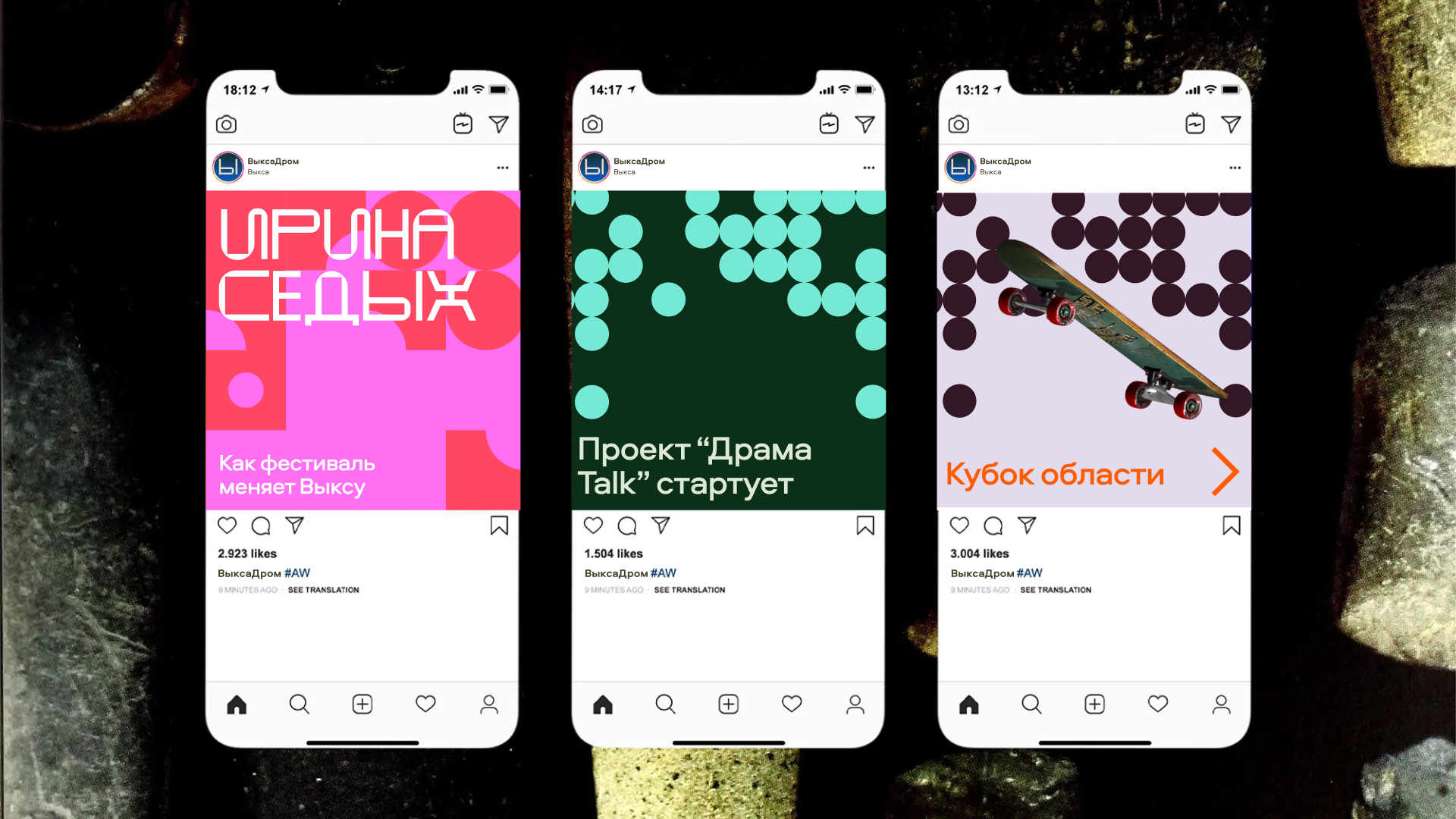 Выкса Дром — Изображение №15 — Брендинг, Графика на Dprofile