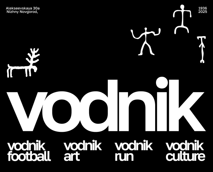 Стадион «Водник» — Брендинг, Графика на Dprofile