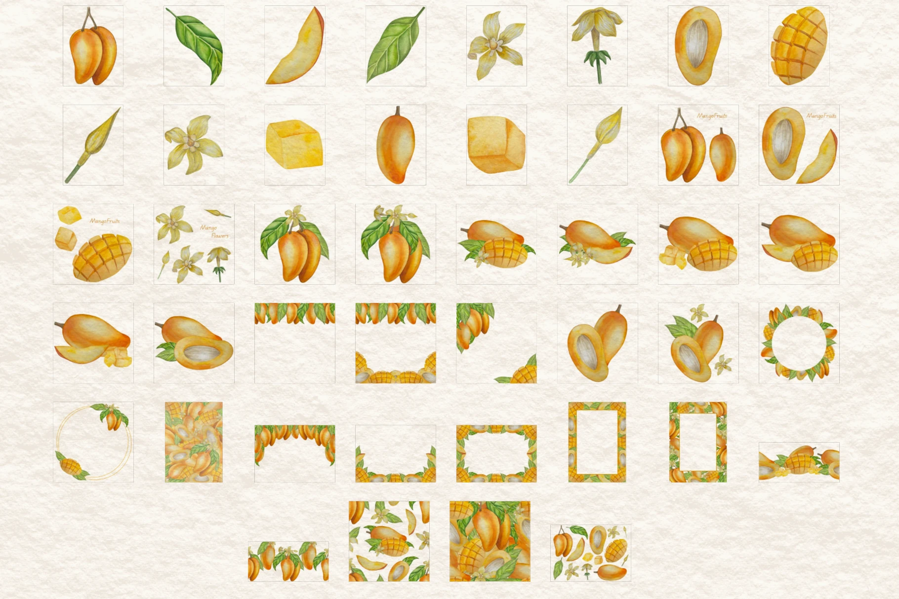 Botanical Style Mango Illustration — Изображение №2 — Иллюстрация на Dprofile