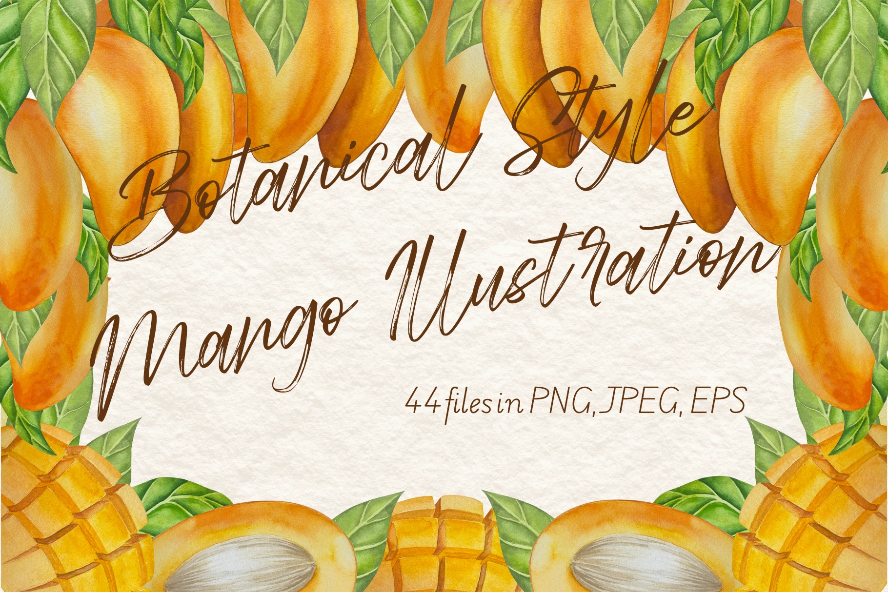 Botanical Style Mango Illustration — Изображение №1 — Иллюстрация на Dprofile