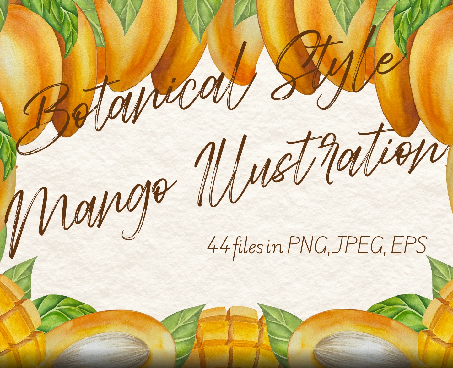 Botanical Style Mango Illustration — Иллюстрация на Dprofile