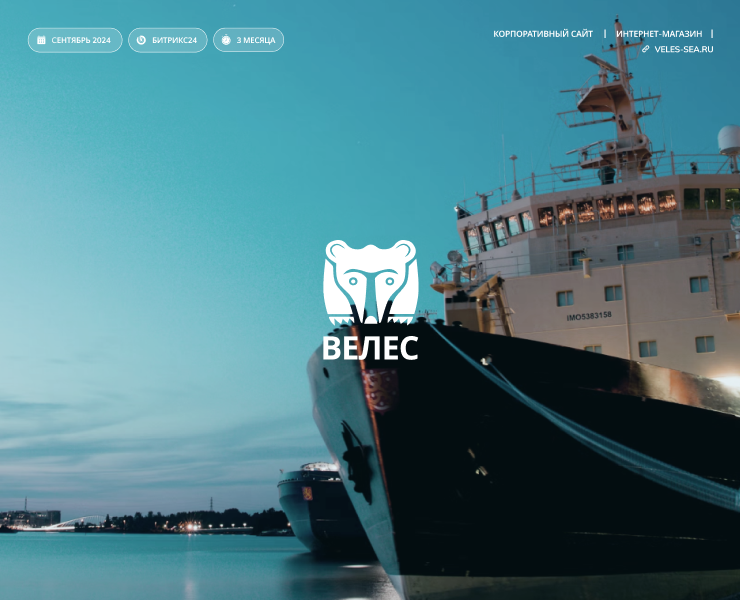 Многостраничный сайт для компании «ВЕЛЕС» на Dprofile