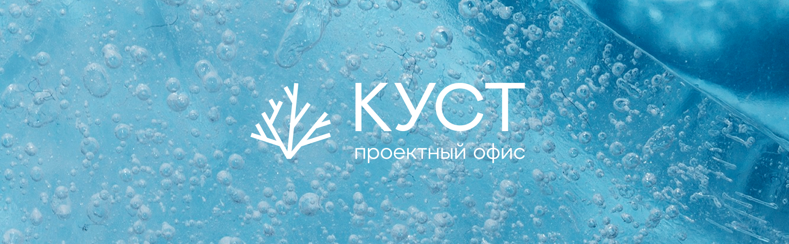 Проектный офис КУСТ / Брендинг — Изображение №4 — Брендинг на Dprofile