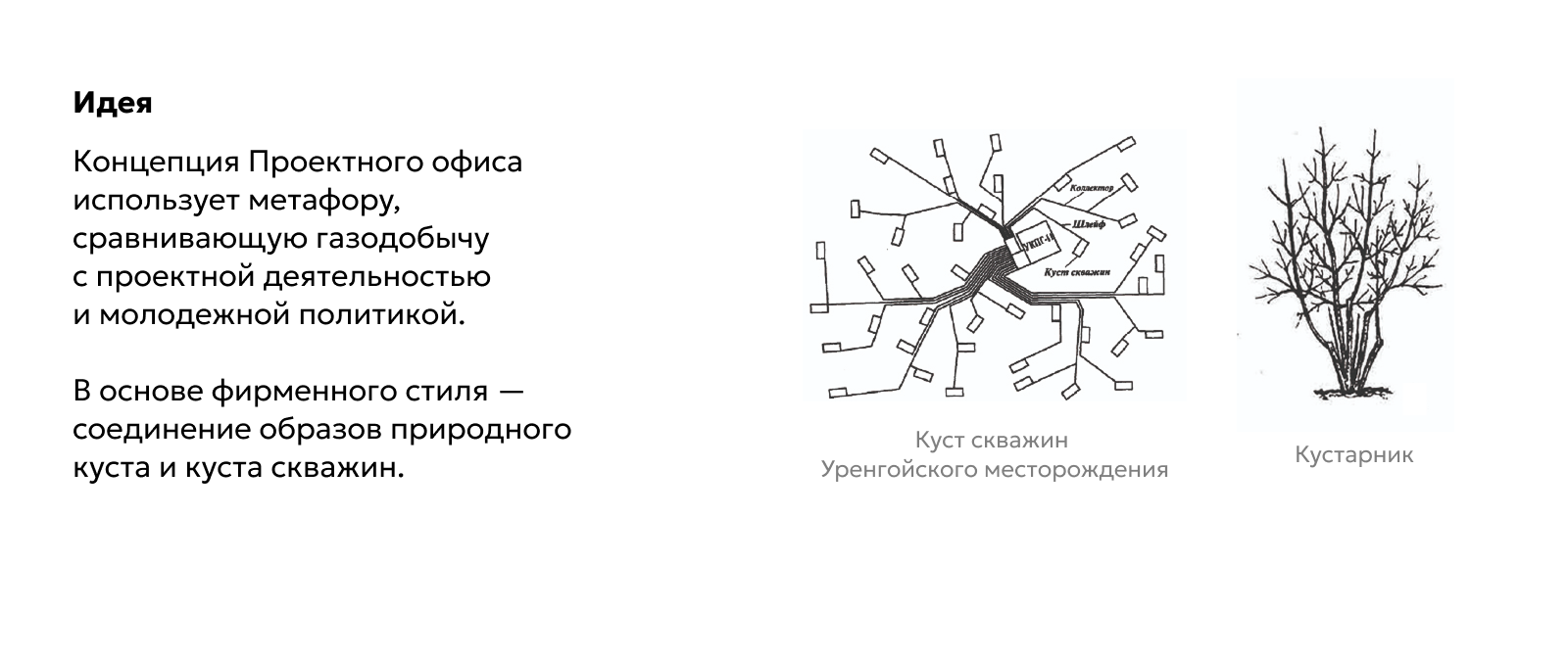 Проектный офис КУСТ / Брендинг — Изображение №3 — Брендинг на Dprofile