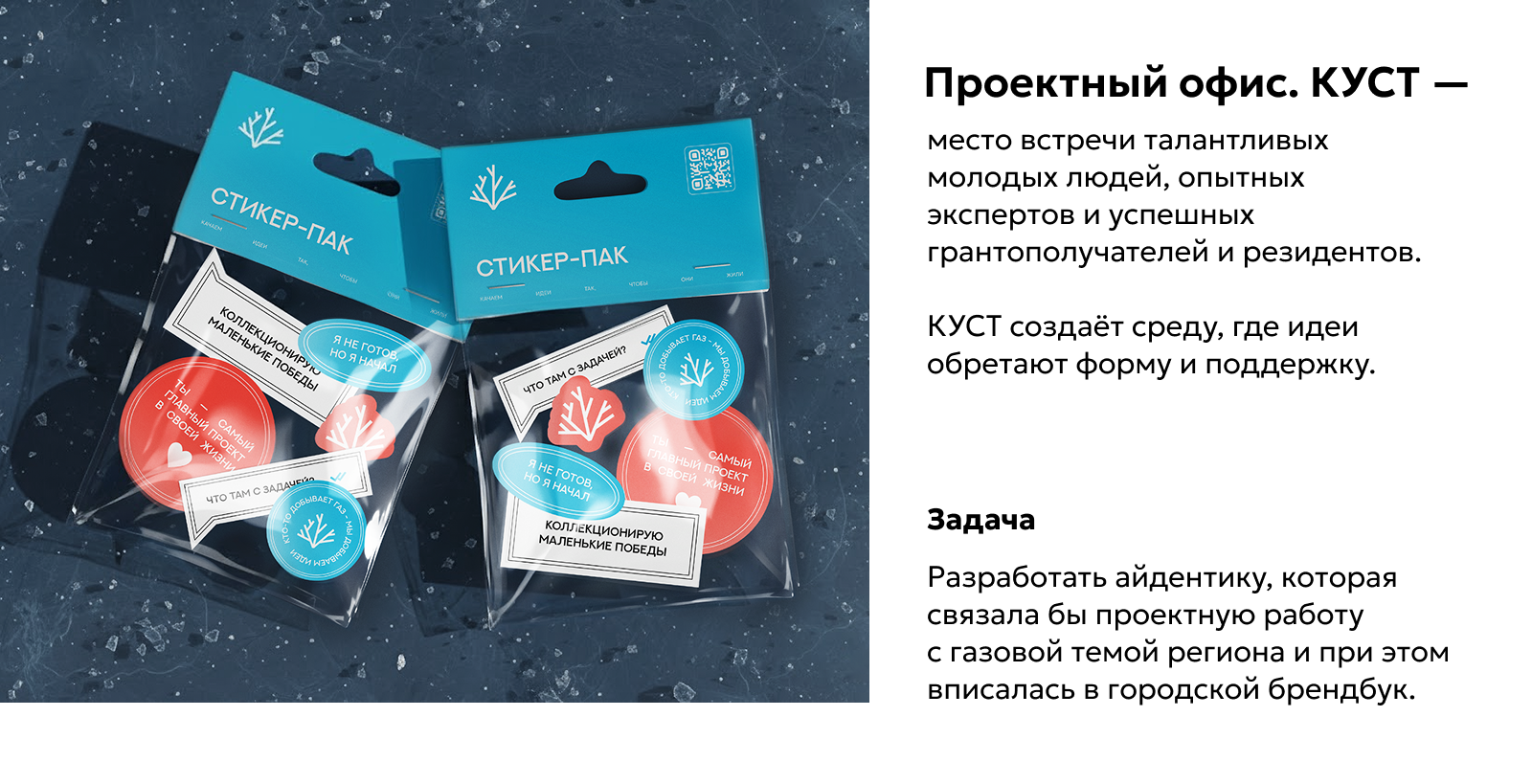 Проектный офис КУСТ / Брендинг — Изображение №1 — Брендинг на Dprofile