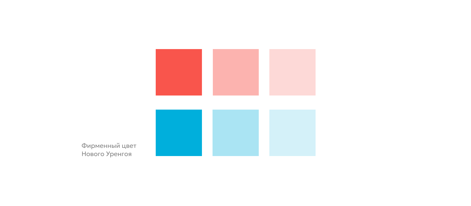 Проектный офис КУСТ / Брендинг — Изображение №5 — Брендинг на Dprofile