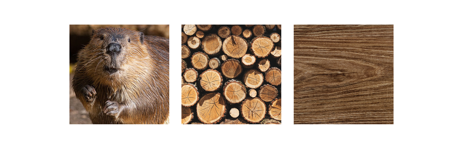 Кофейня БОБРО / Брендинг — Изображение №2 — Брендинг на Dprofile