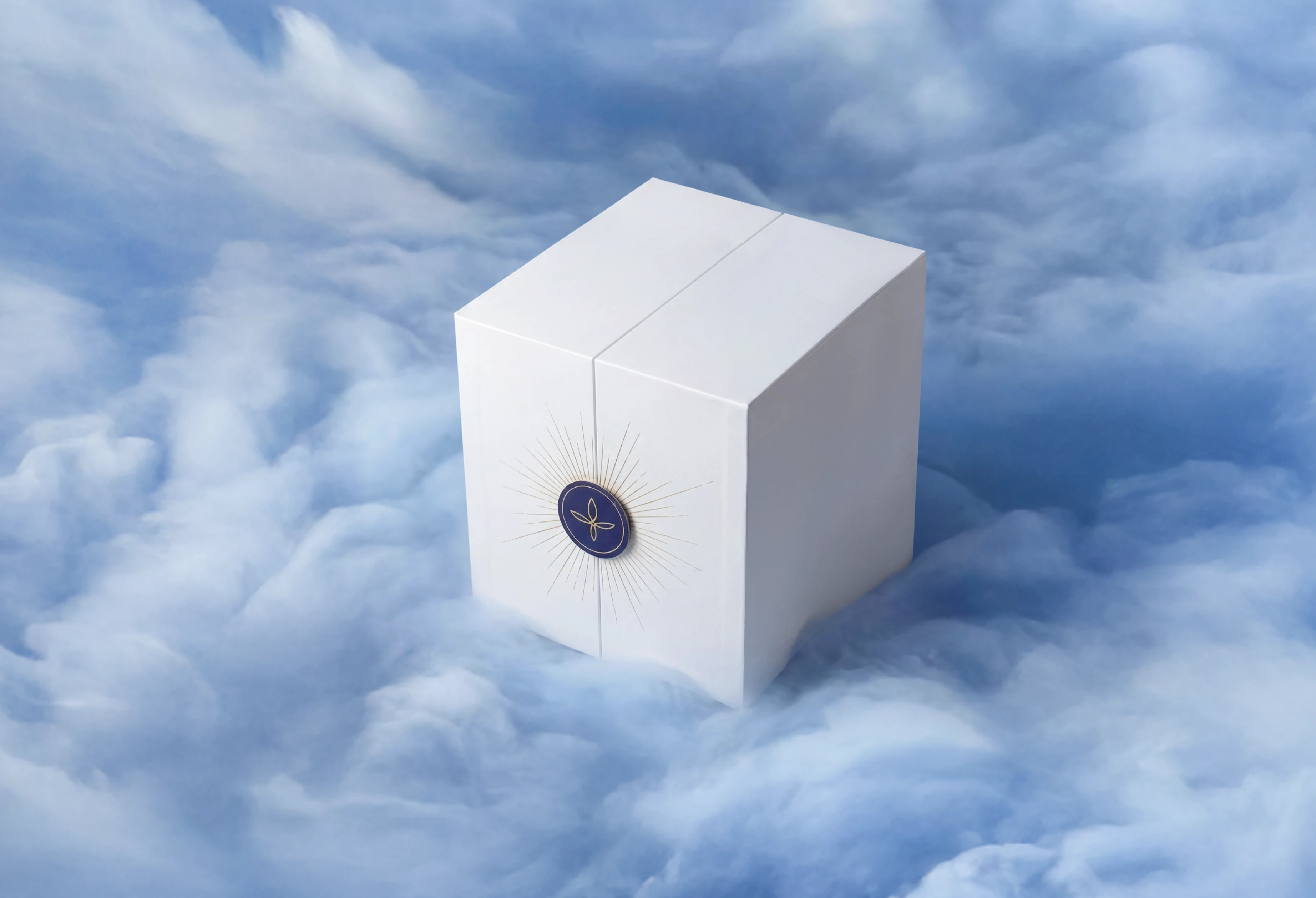 MAGIC BOX SOLNYSHKO MIRA — Изображение №3 — Брендинг, Промдизайн на Dprofile