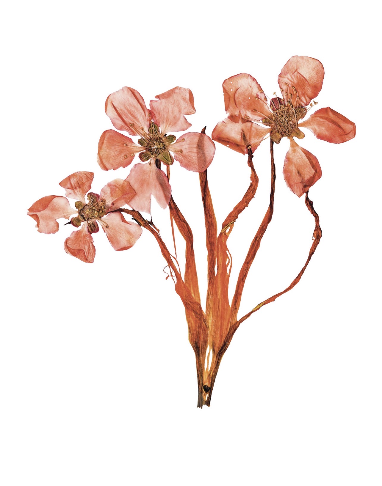 открытки для бренда одежды change — Изображение №3 — Брендинг, Иллюстрация на Dprofile