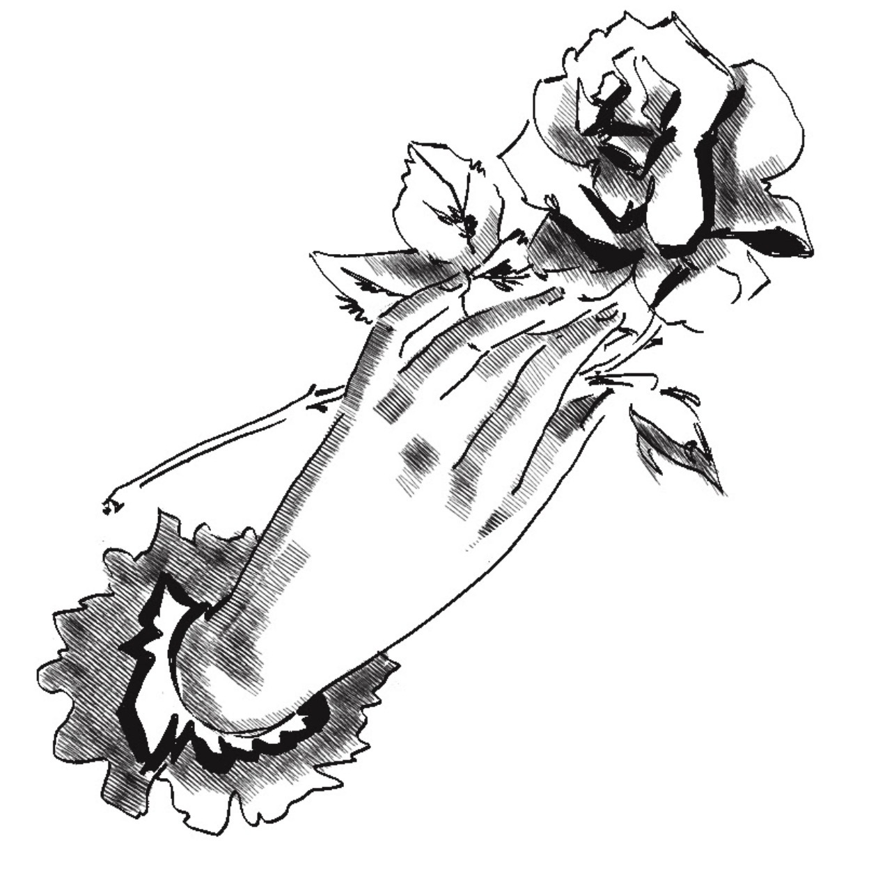 открытки для бренда одежды change — Изображение №1 — Брендинг, Иллюстрация на Dprofile