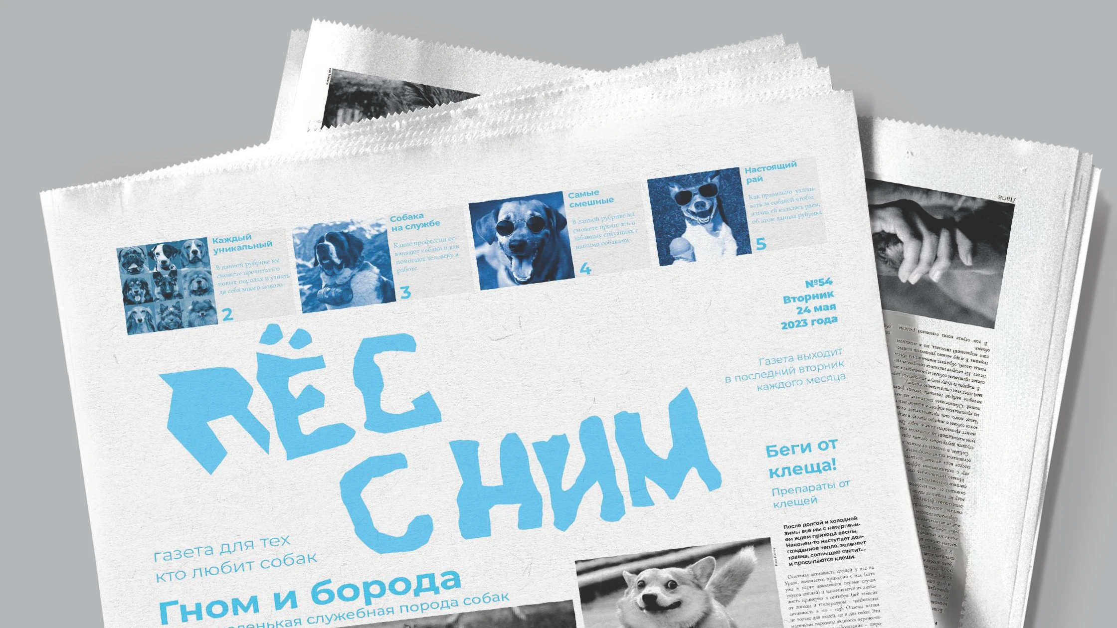 Логотипы и нейминг 2023-2024 — Изображение №9 — Брендинг на Dprofile