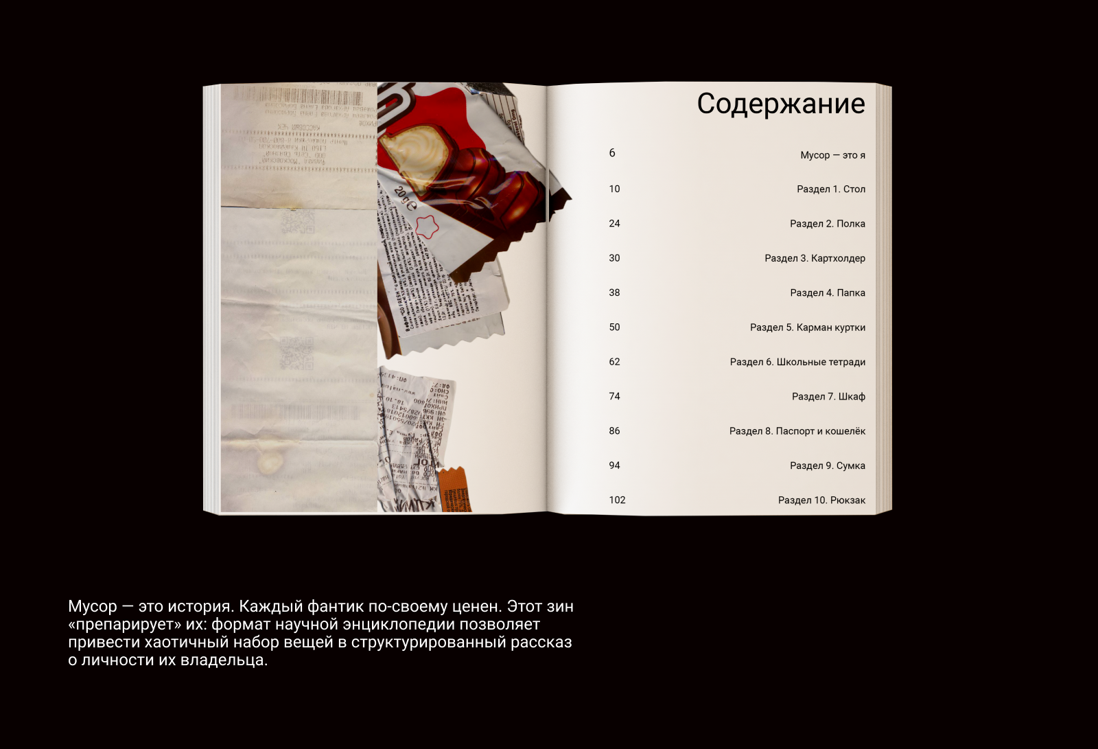 Иерархия хаоса. Зин — Изображение №2 — Графика на Dprofile