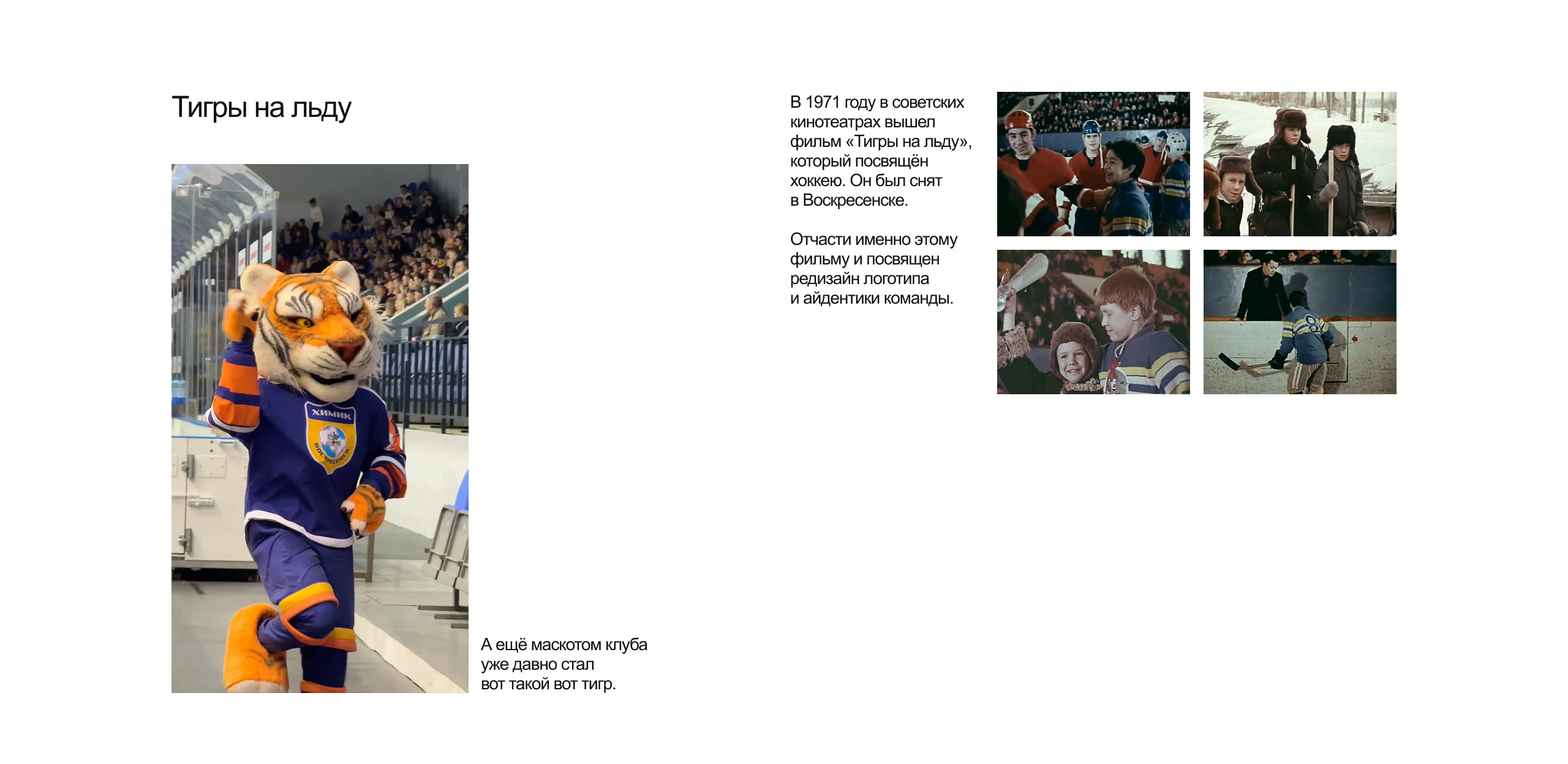 Айдентика ХК «Химик» — Изображение №4 — Брендинг на Dprofile