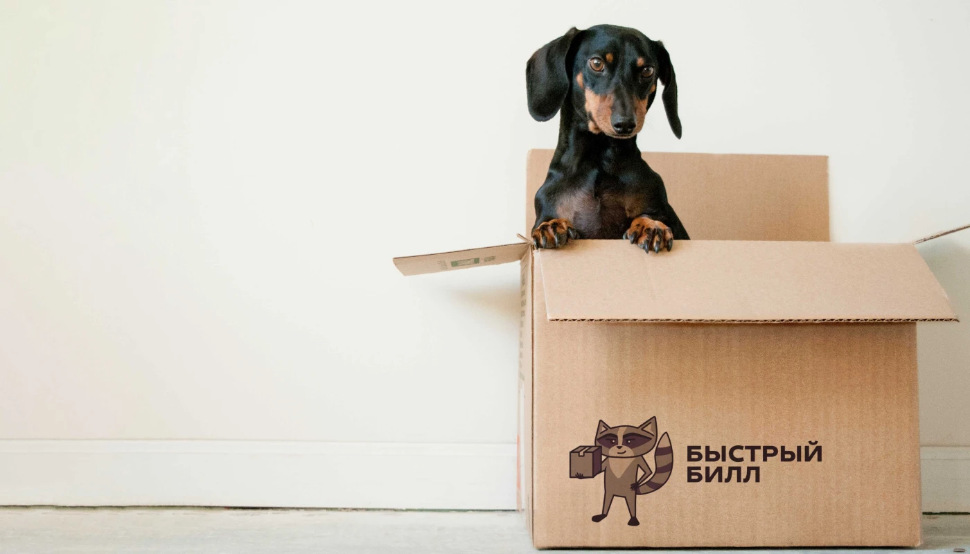 Сервис перевозки грузов Быстрый Билл | учебный проект — Изображение №2 — Брендинг, Графика на Dprofile