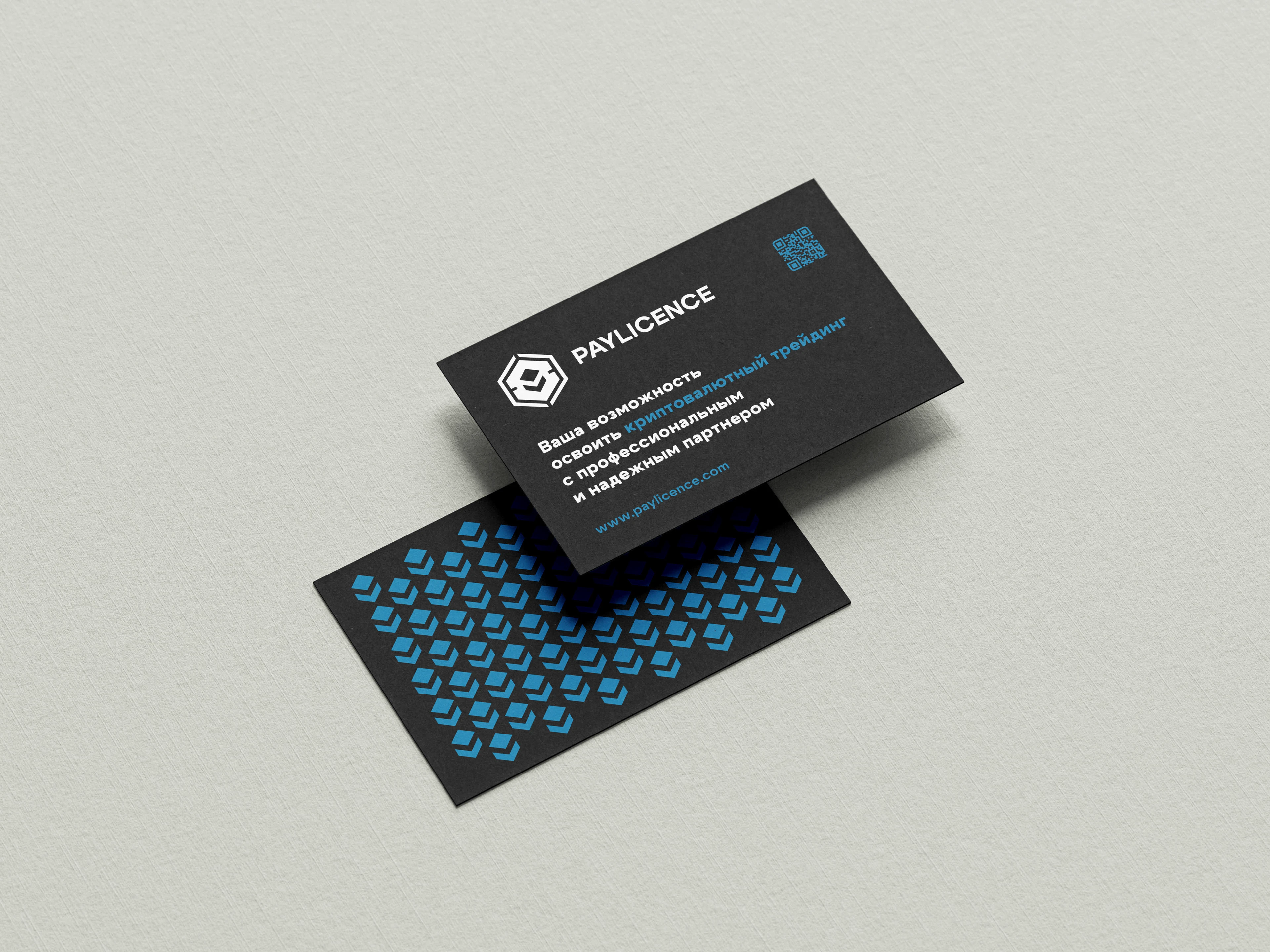 Логотип для школы трейдинга PAYLICENCE — Изображение №4 — Брендинг на Dprofile