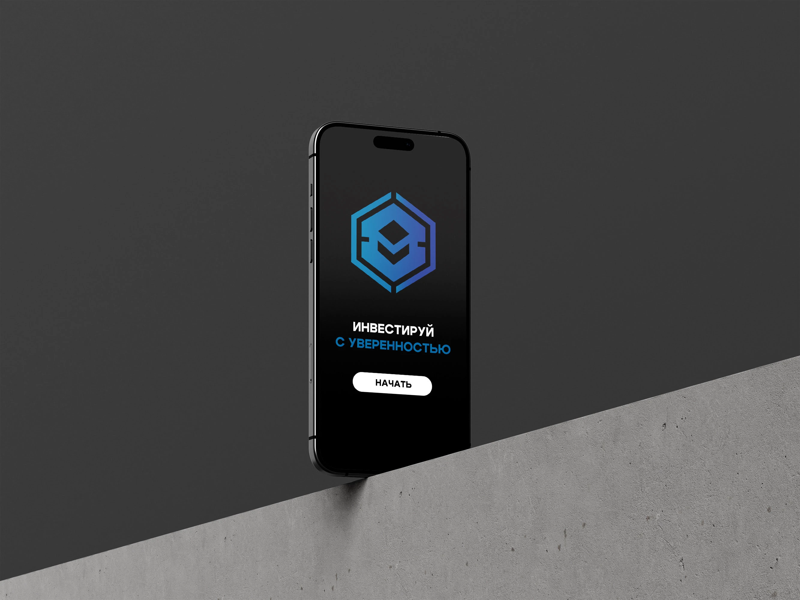 Логотип для школы трейдинга PAYLICENCE — Изображение №3 — Брендинг на Dprofile