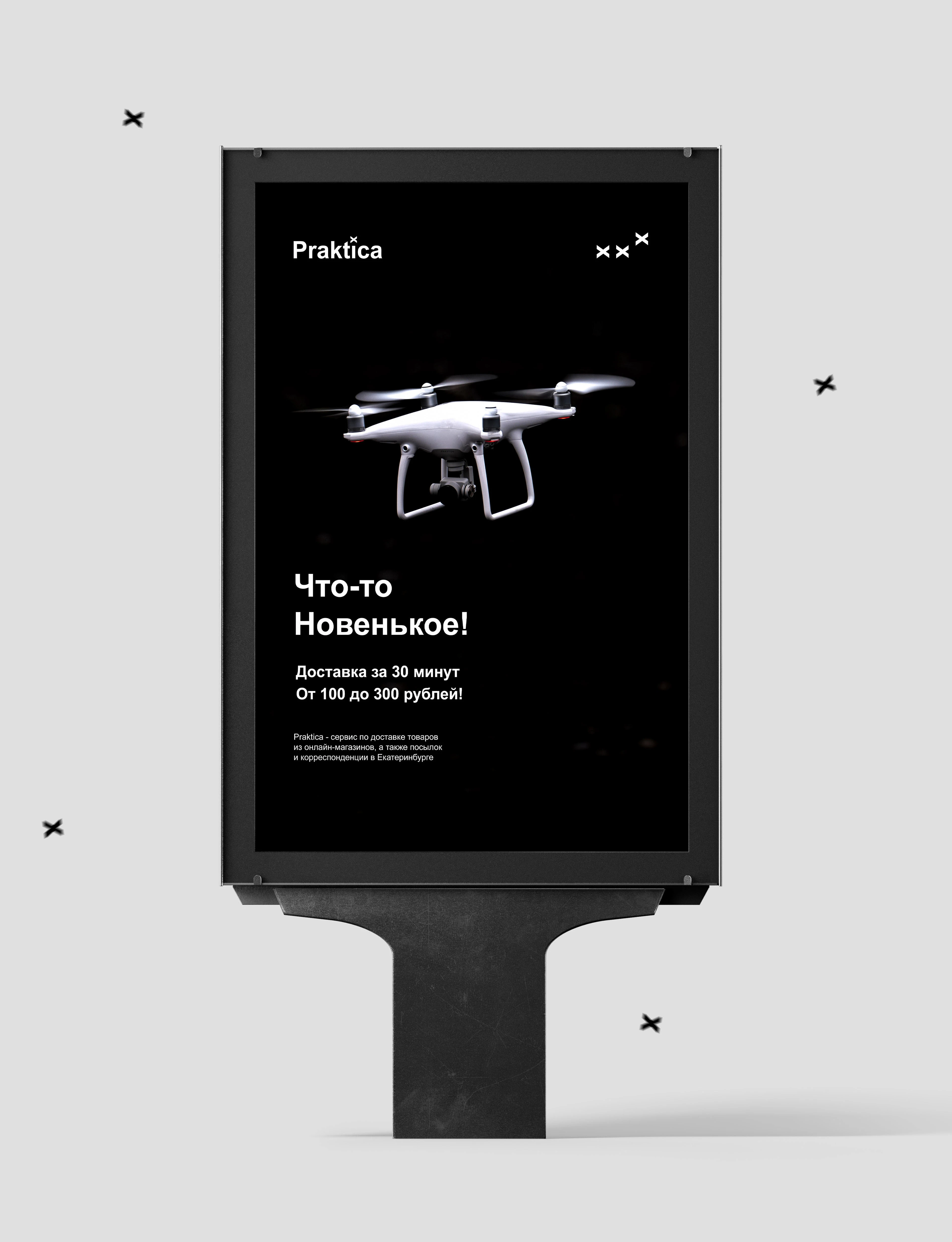 Praktica — сервис по доставке товаров — Изображение №4 — Брендинг на Dprofile