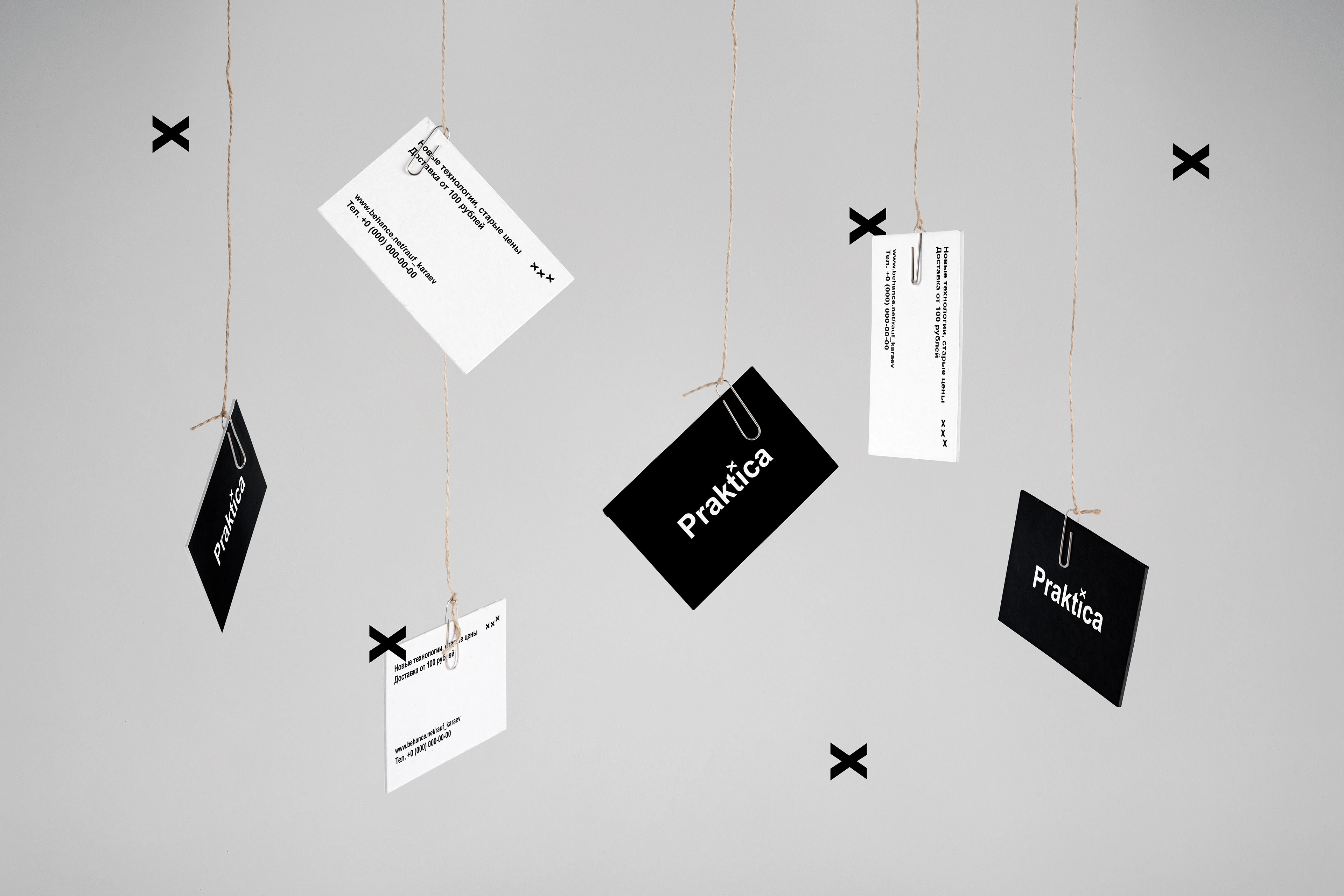 Praktica — сервис по доставке товаров — Изображение №1 — Брендинг на Dprofile