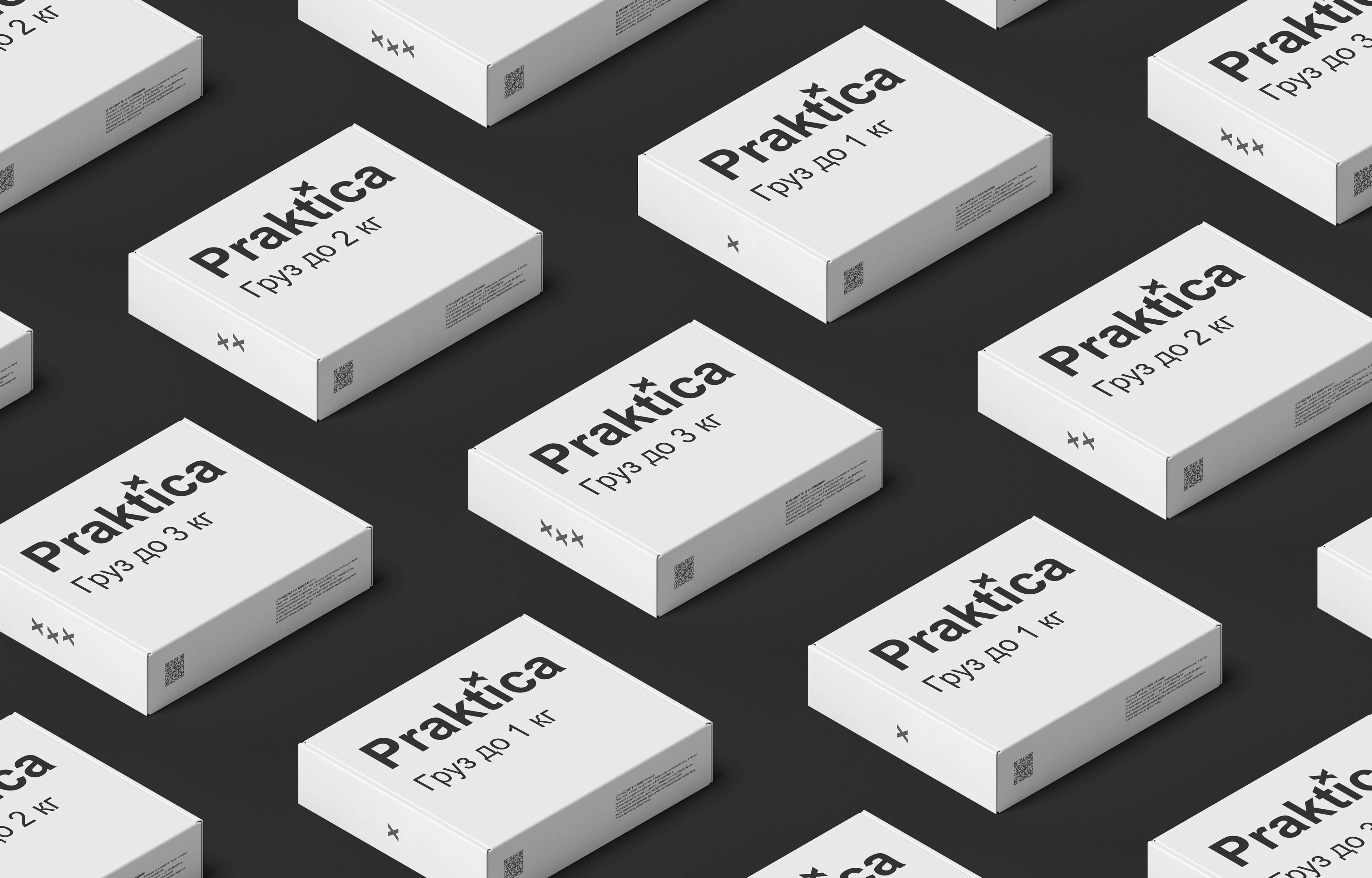 Praktica — сервис по доставке товаров — Изображение №5 — Брендинг на Dprofile